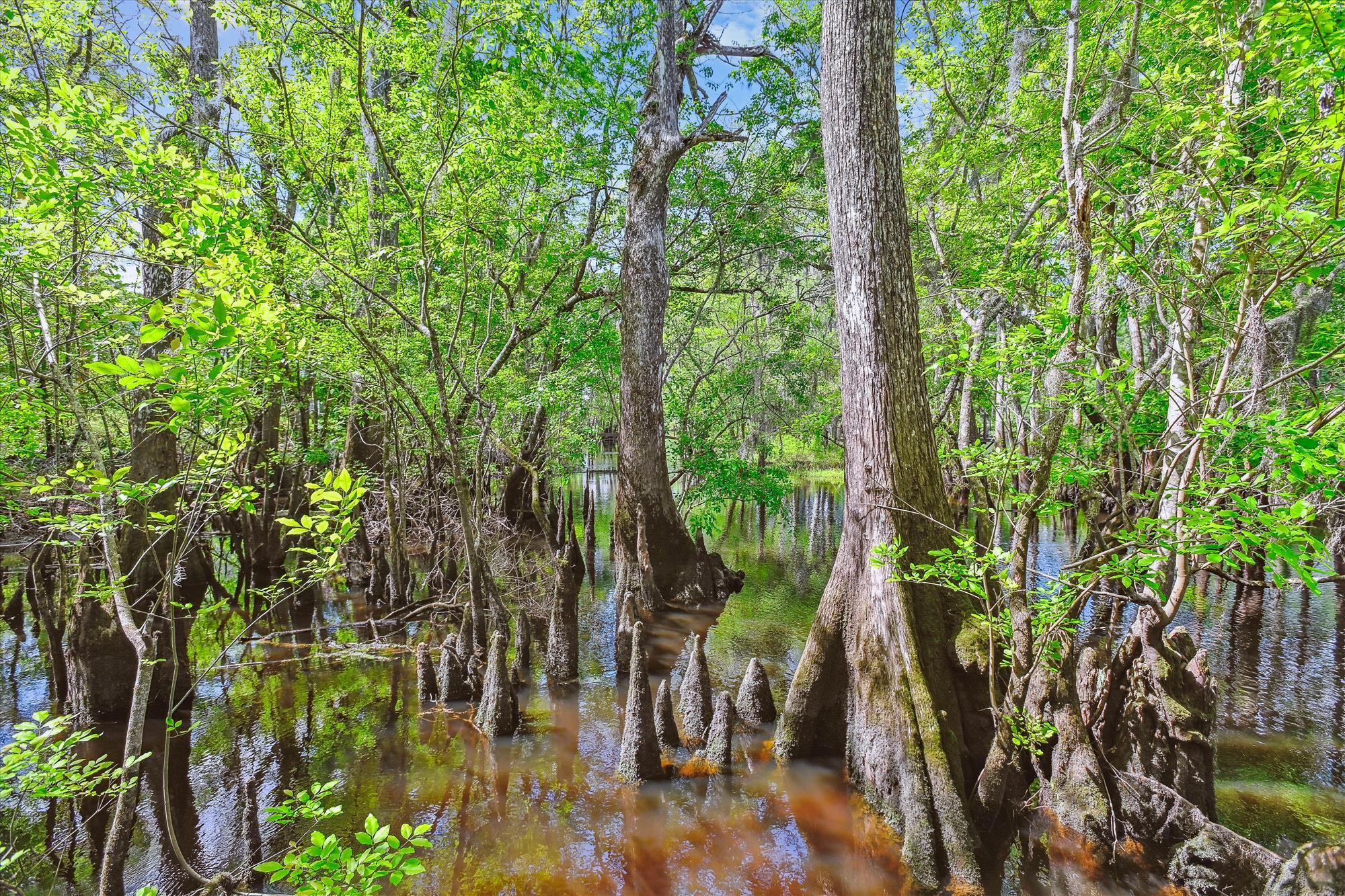 7095 Parkers Ferry Road