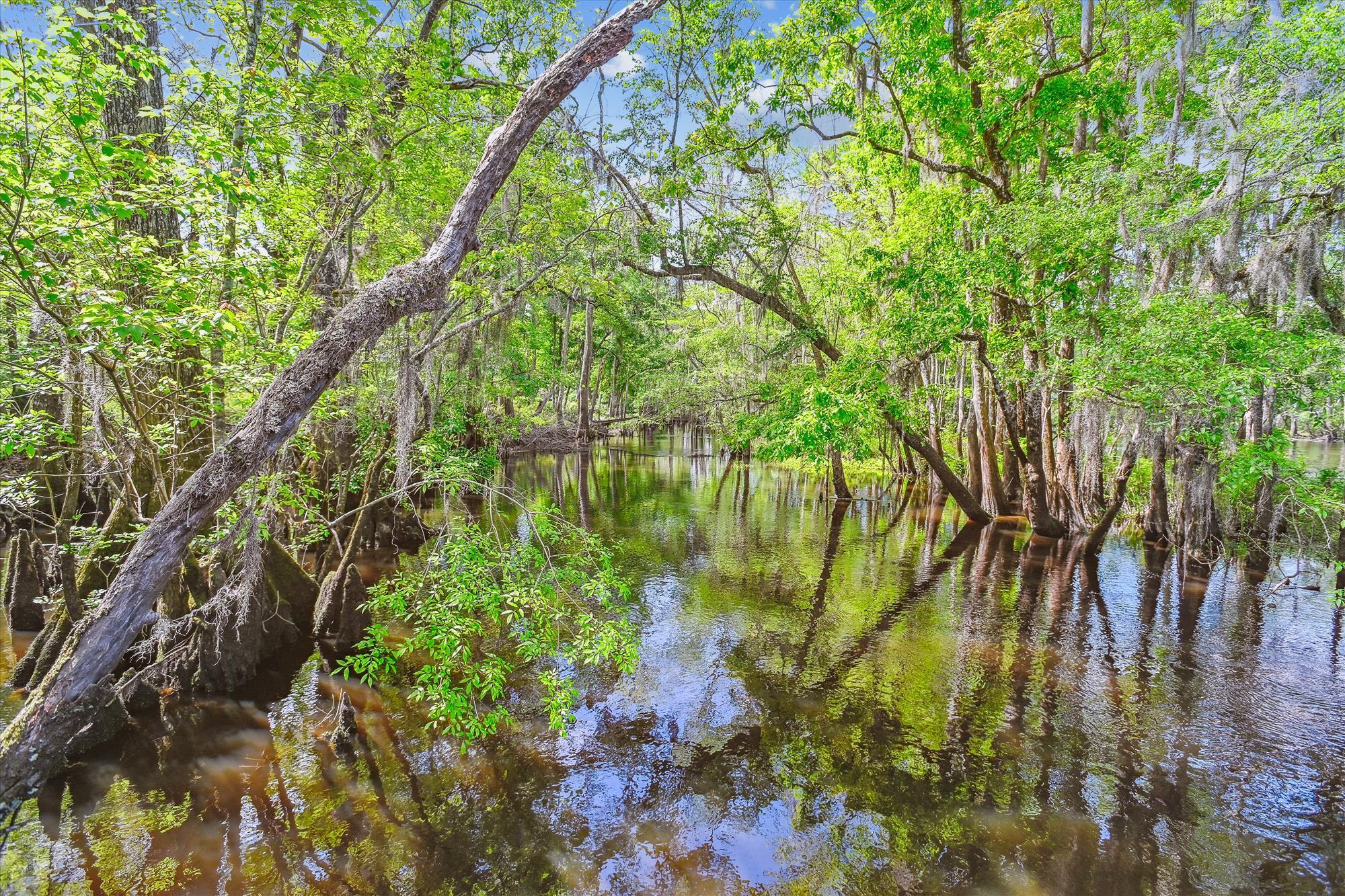 7095 Parkers Ferry Road