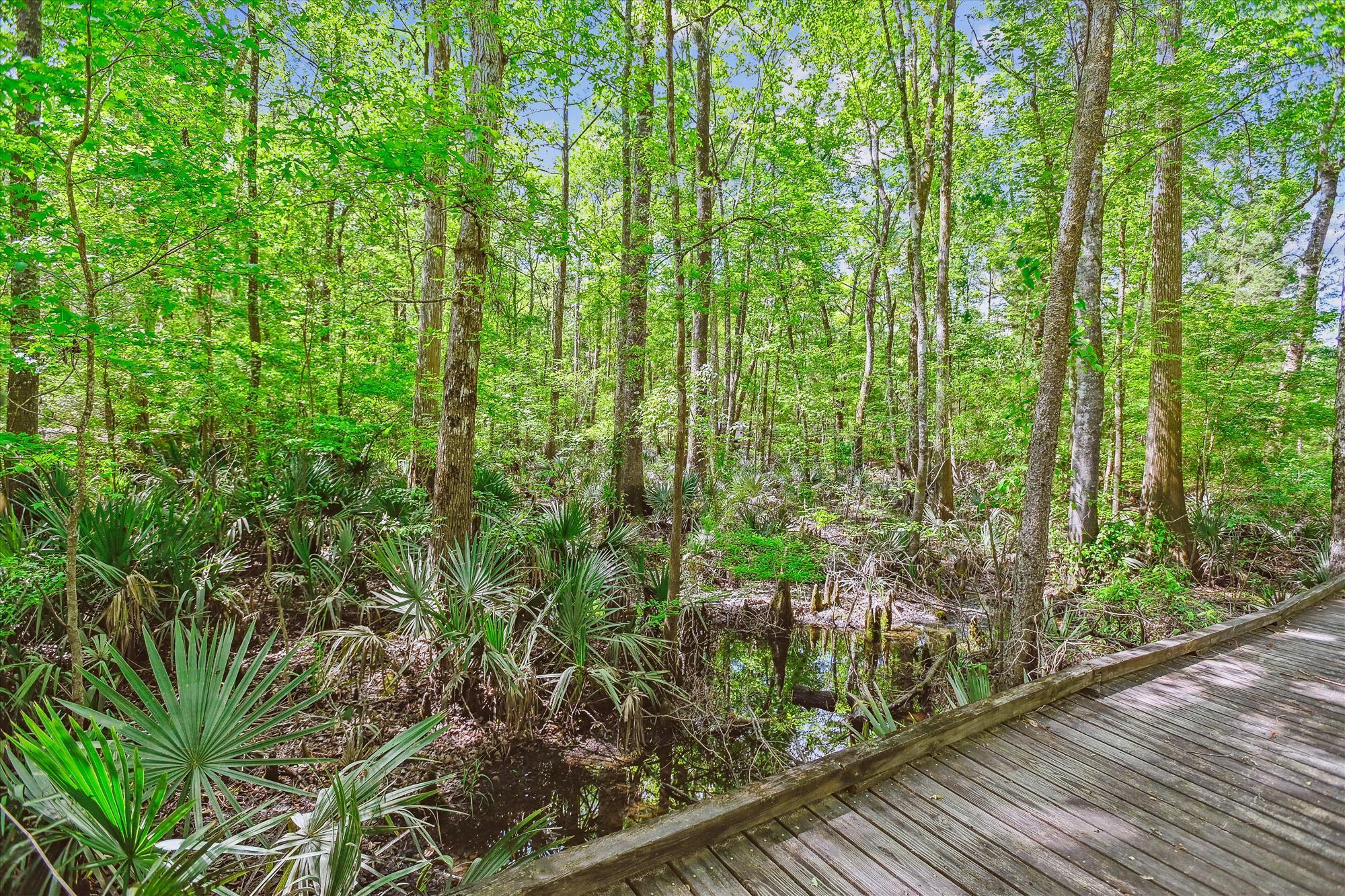 7095 Parkers Ferry Road