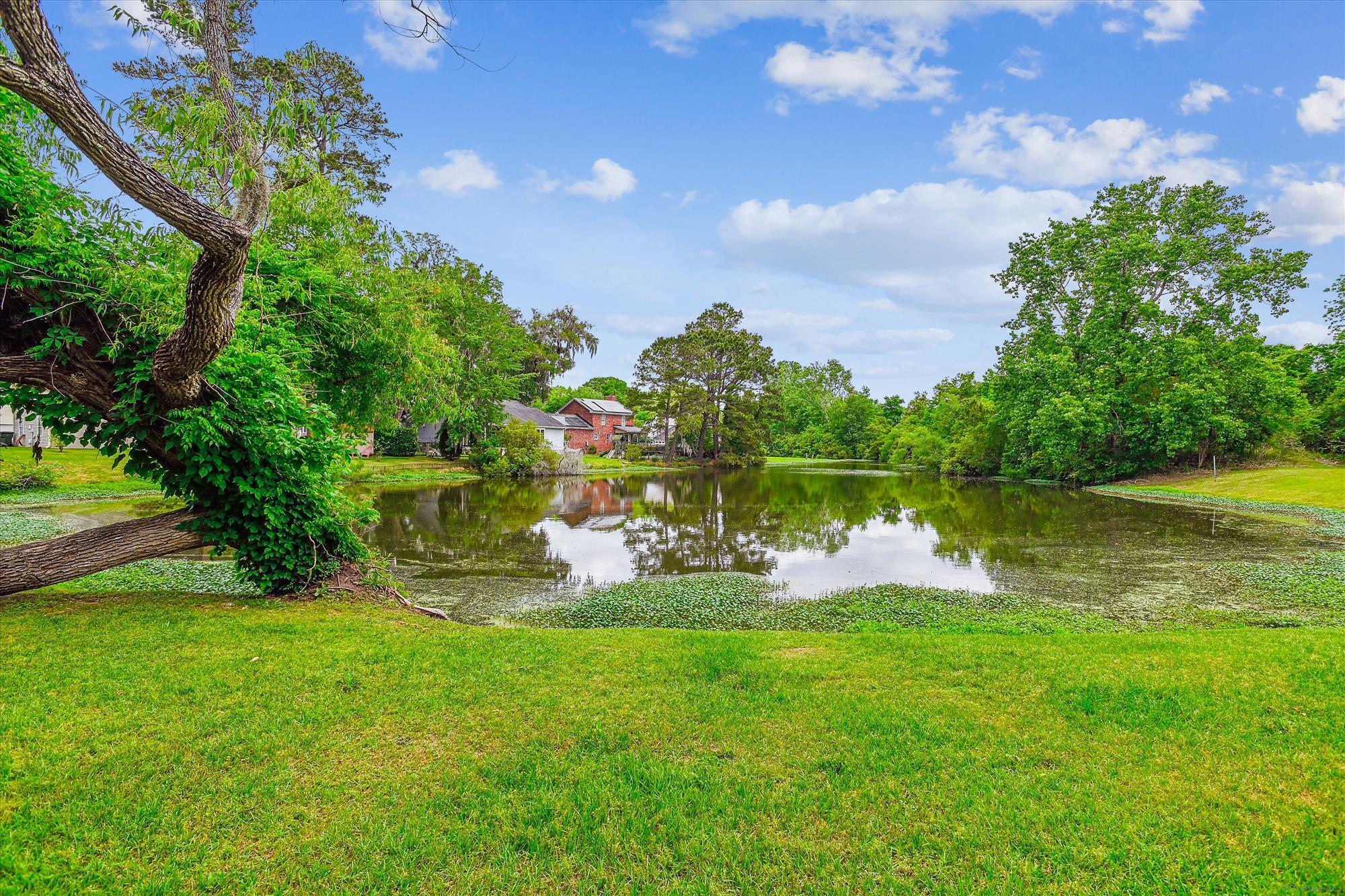 112 Red Cypress Drive