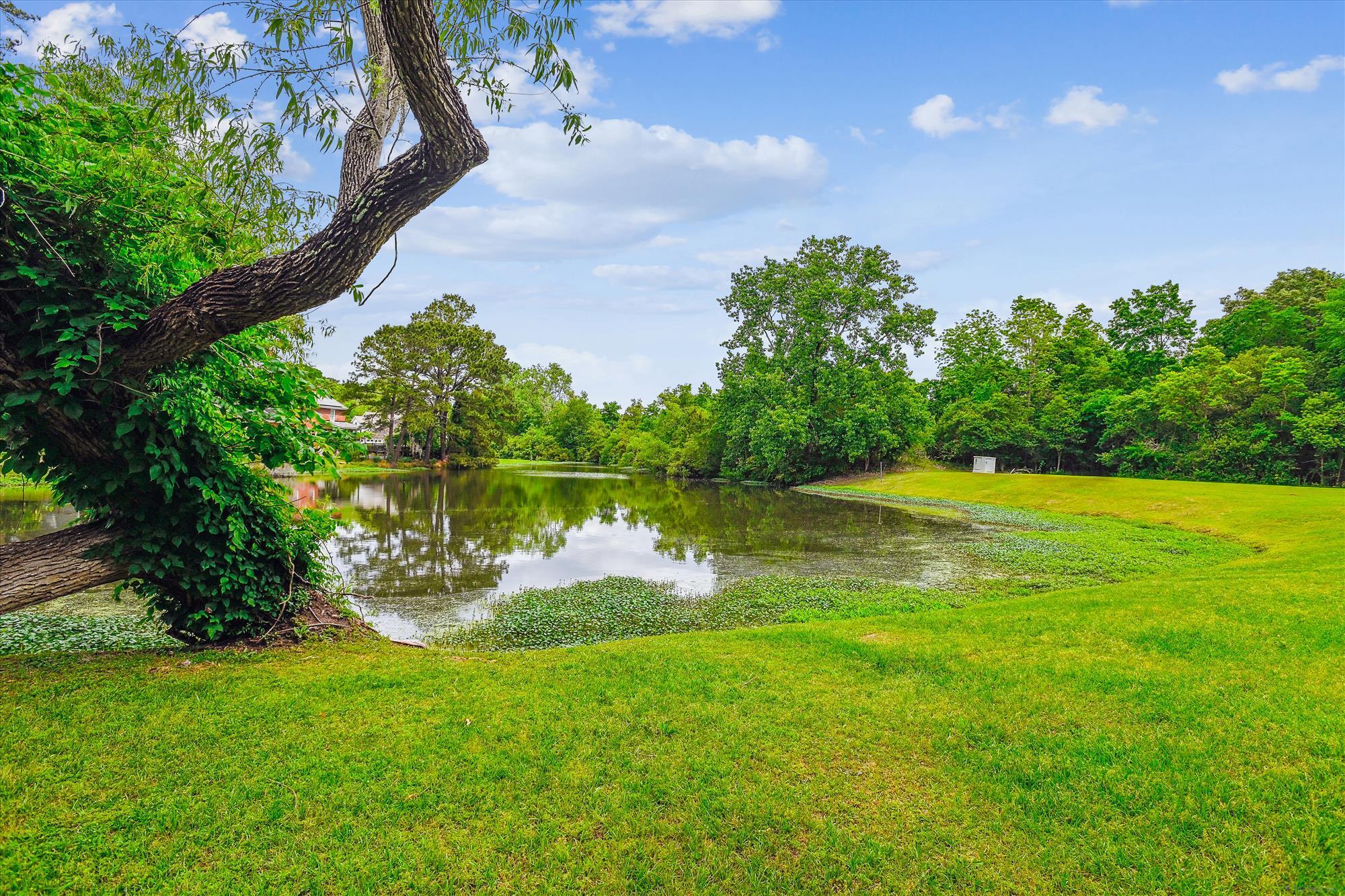 112 Red Cypress Drive