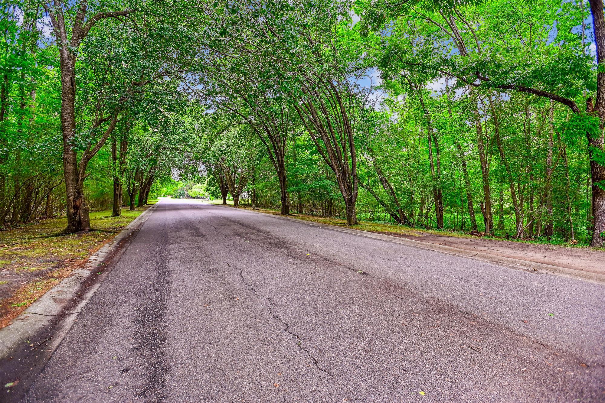 112 Red Cypress Drive