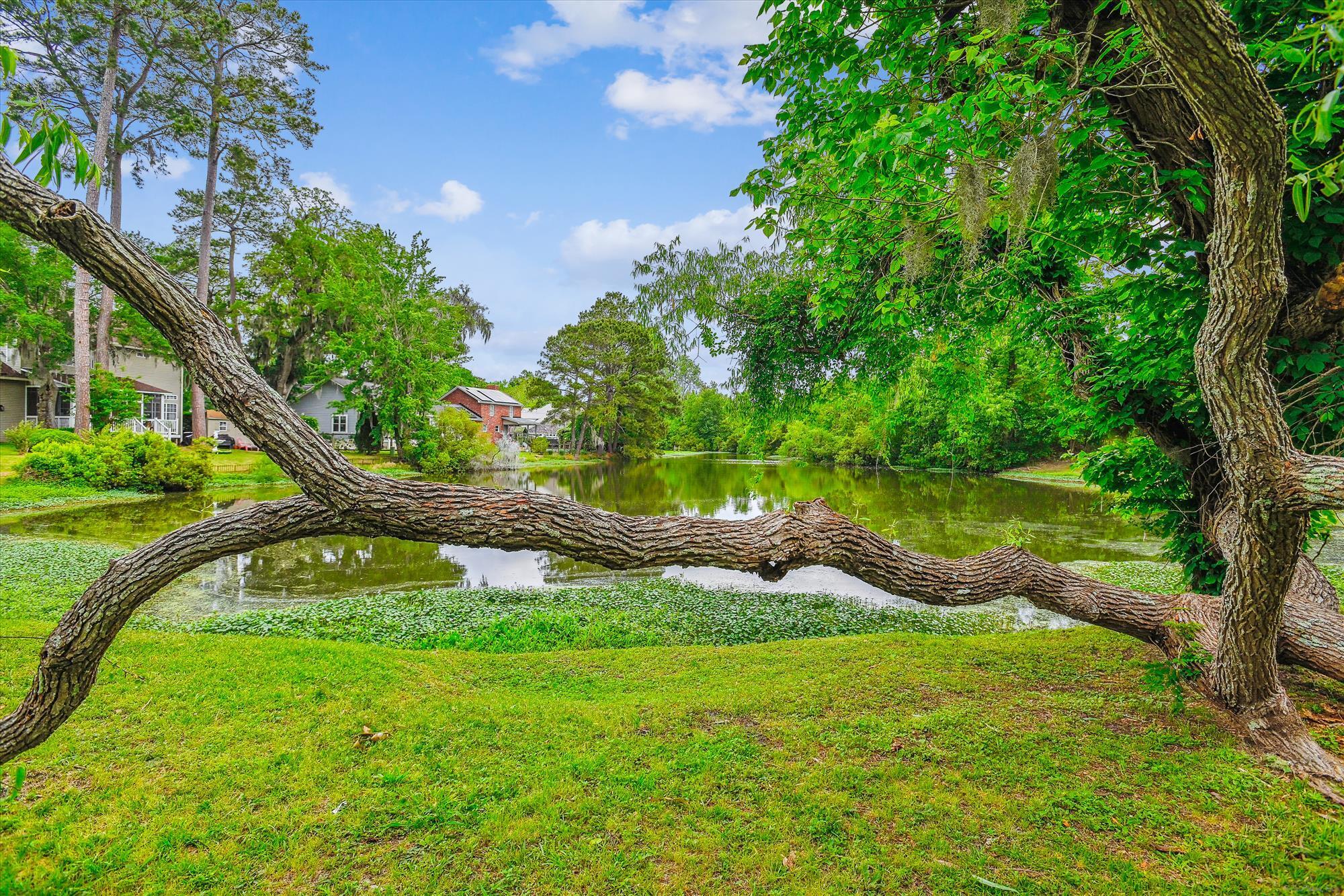 112 Red Cypress Drive