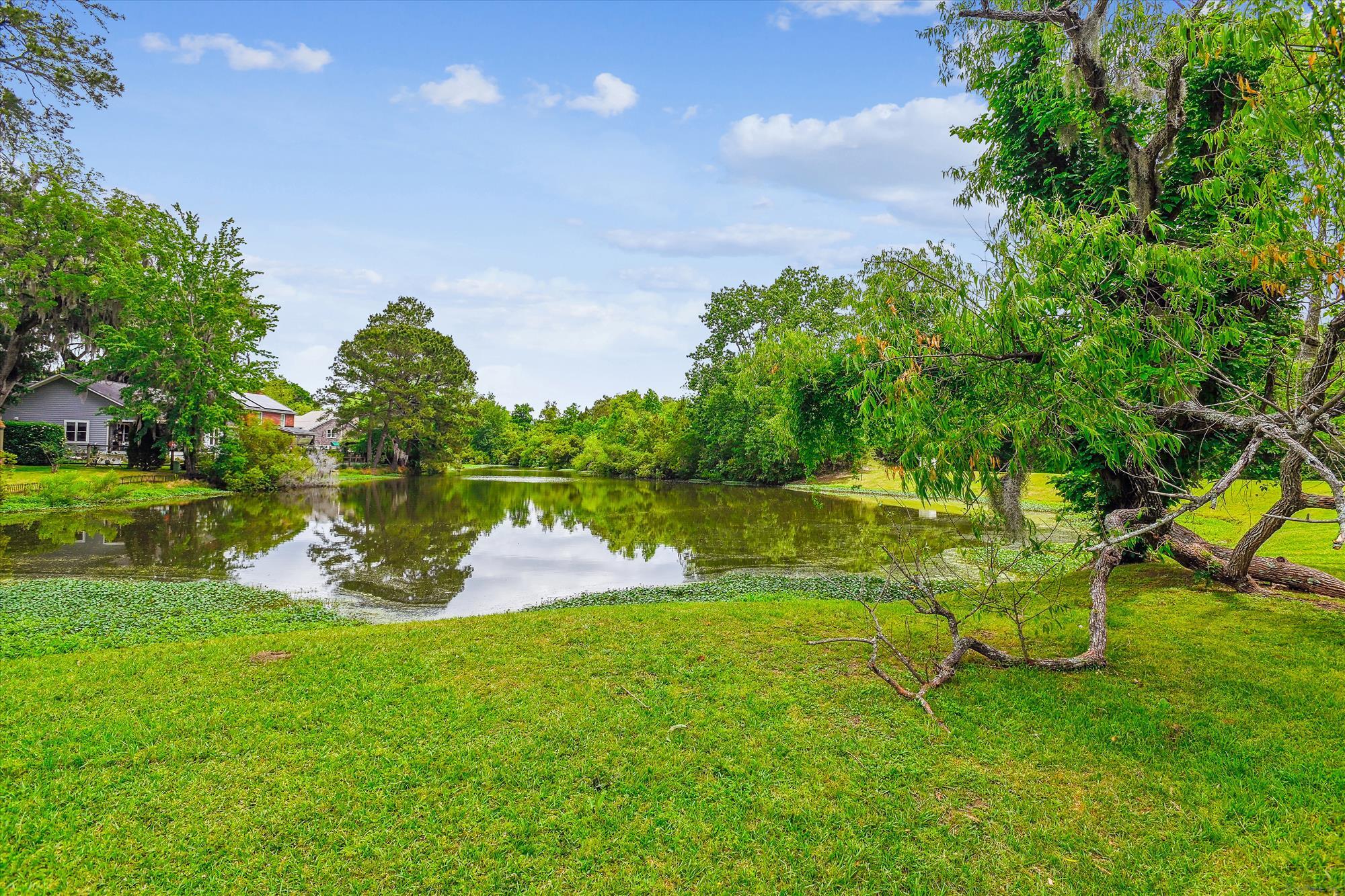 112 Red Cypress Drive