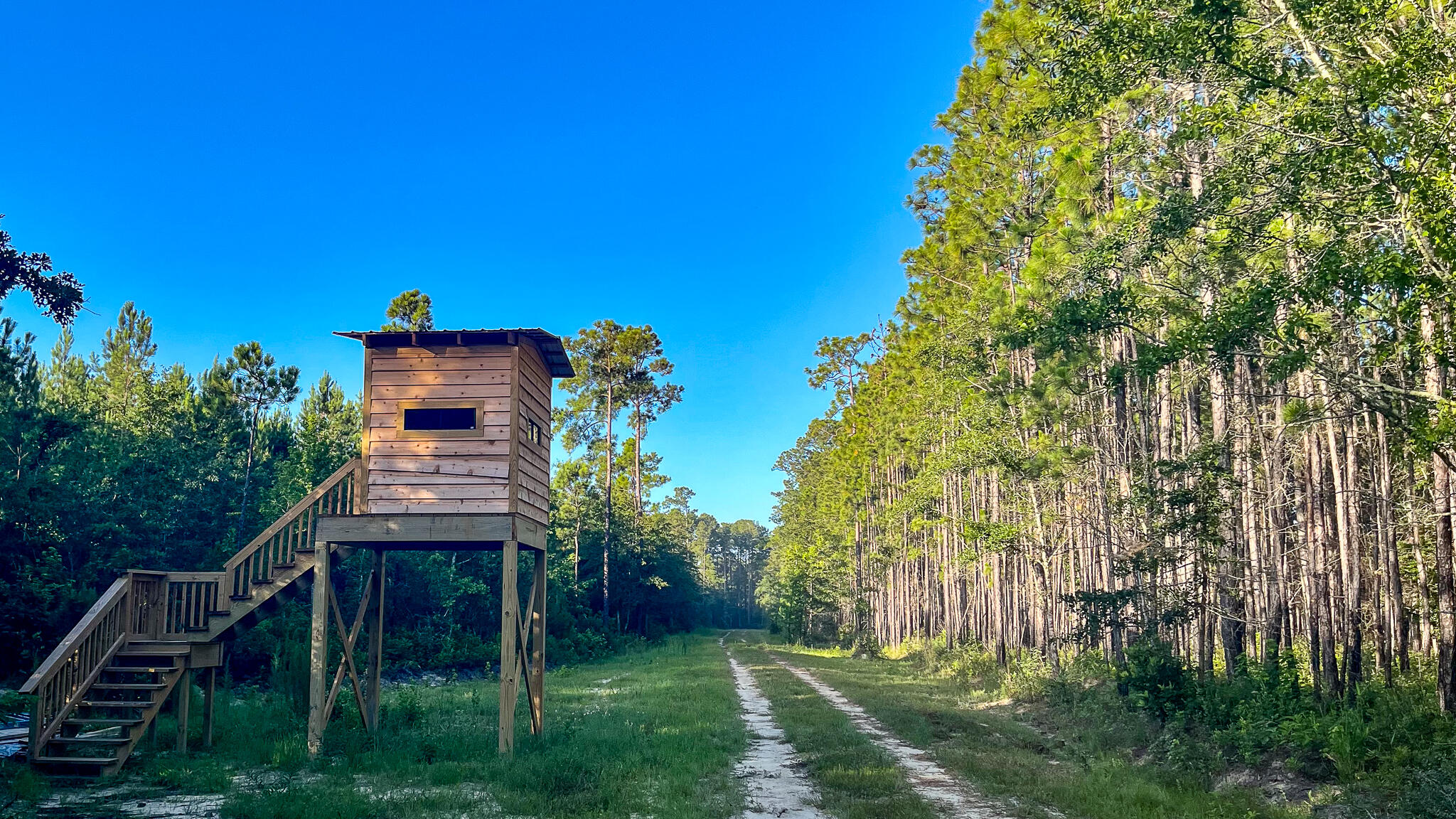 1515 7 Mile Road, McClellanville