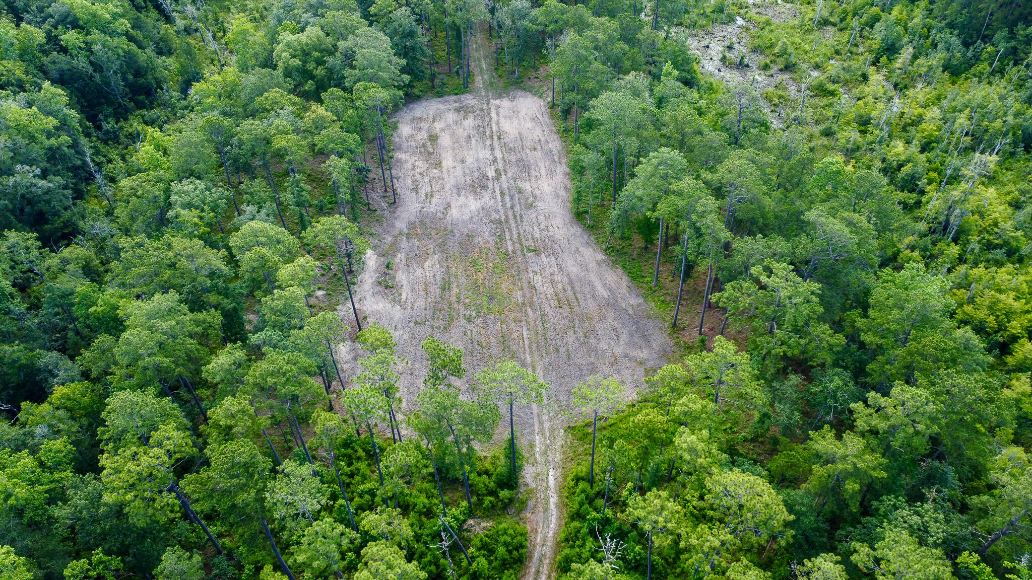 1515 7 Mile Road, McClellanville