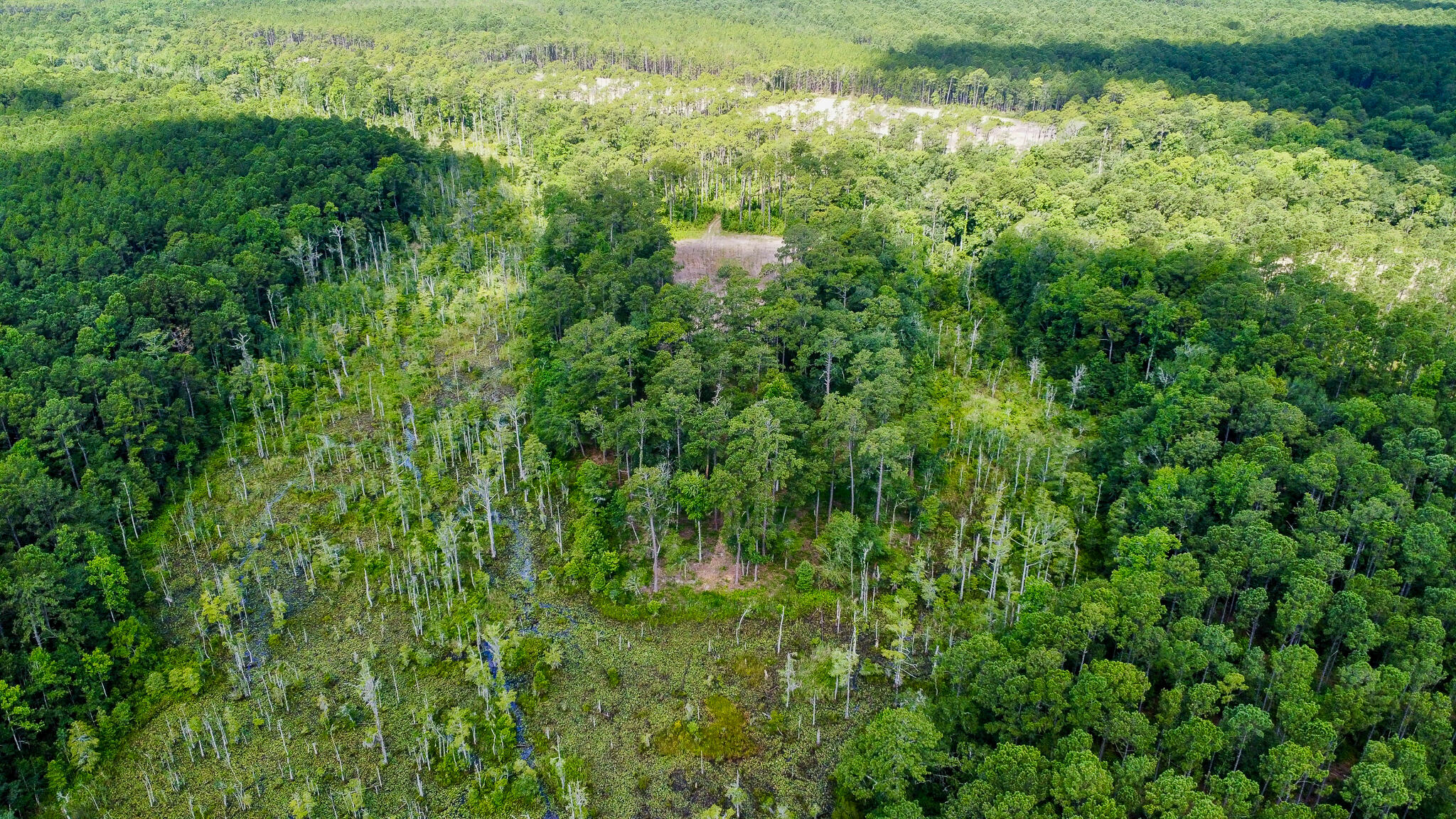 1515 7 Mile Road, McClellanville