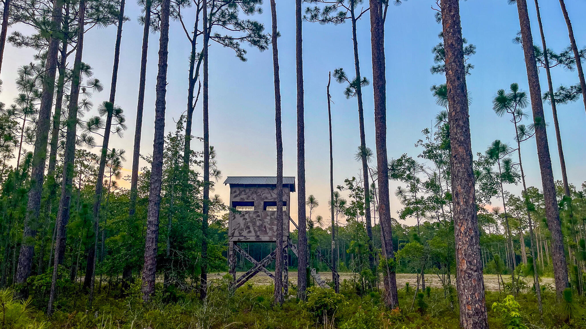 1515 7 Mile Road, McClellanville