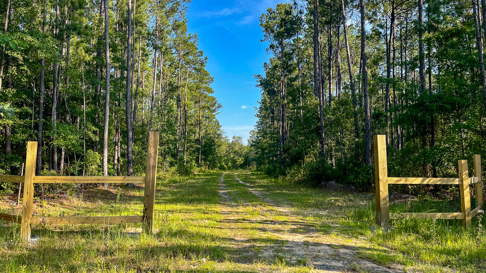 1515 7 Mile Road, McClellanville