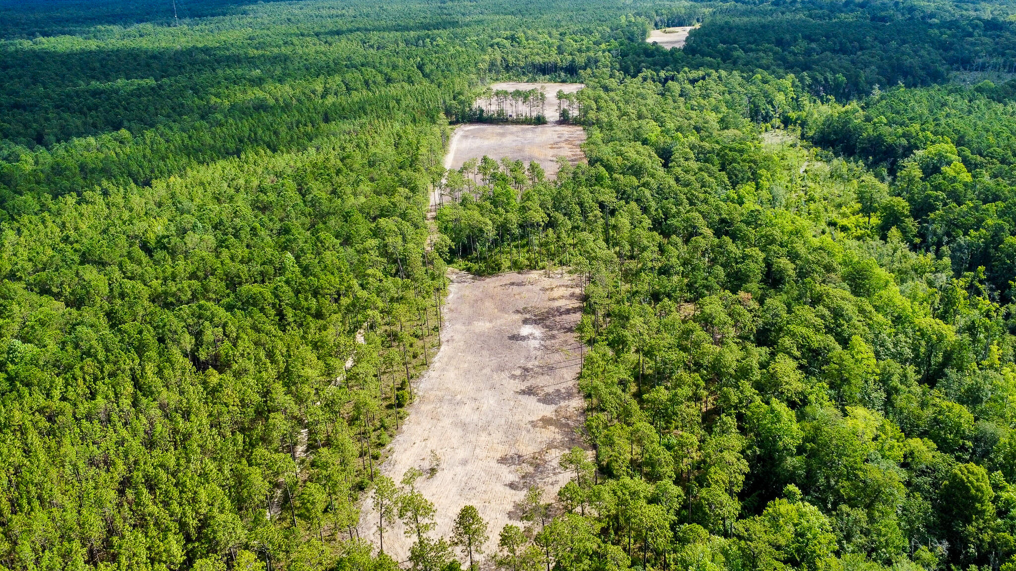 1515 7 Mile Road, McClellanville