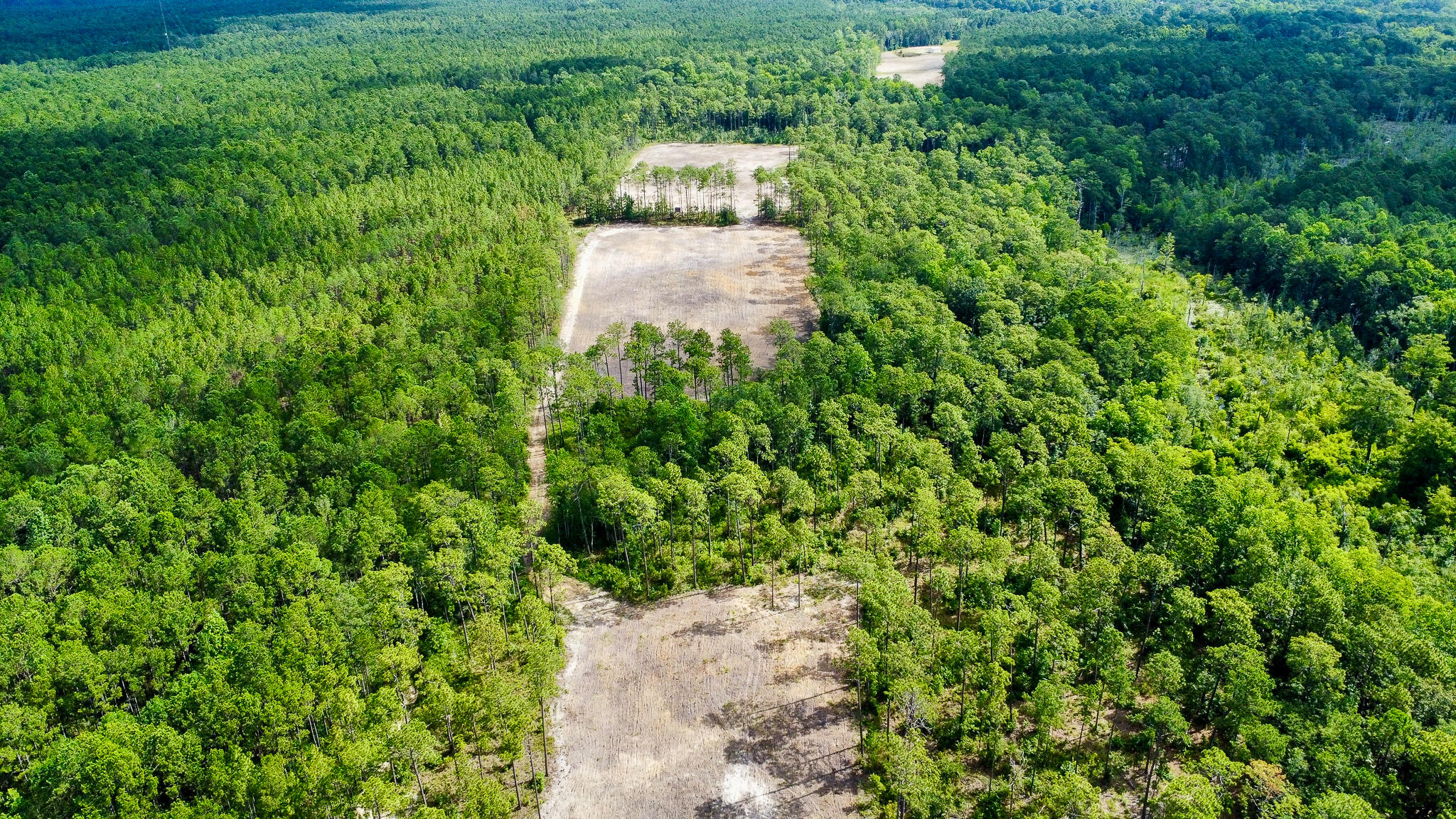 1515 7 Mile Road, McClellanville