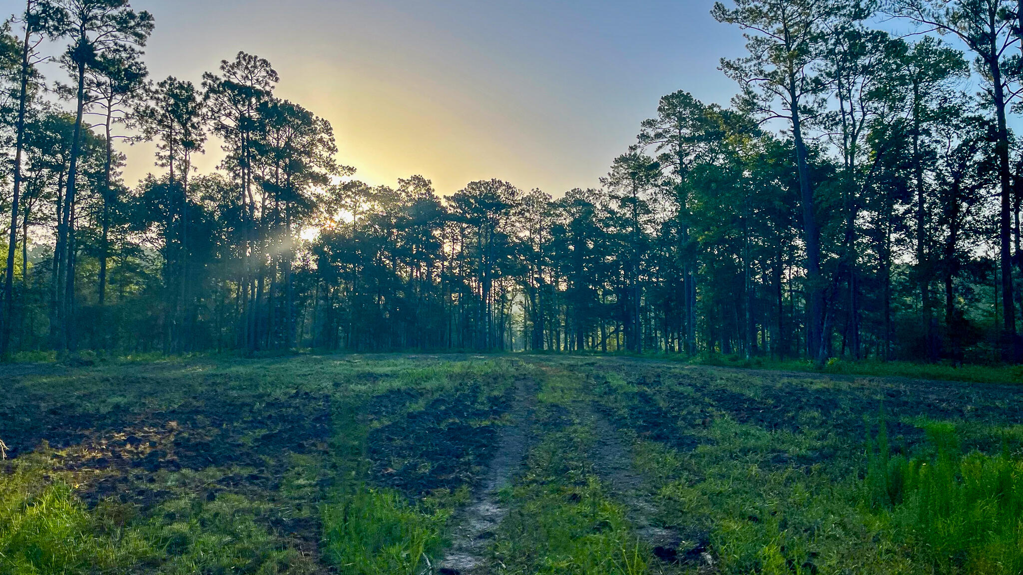 1515 7 Mile Road, McClellanville