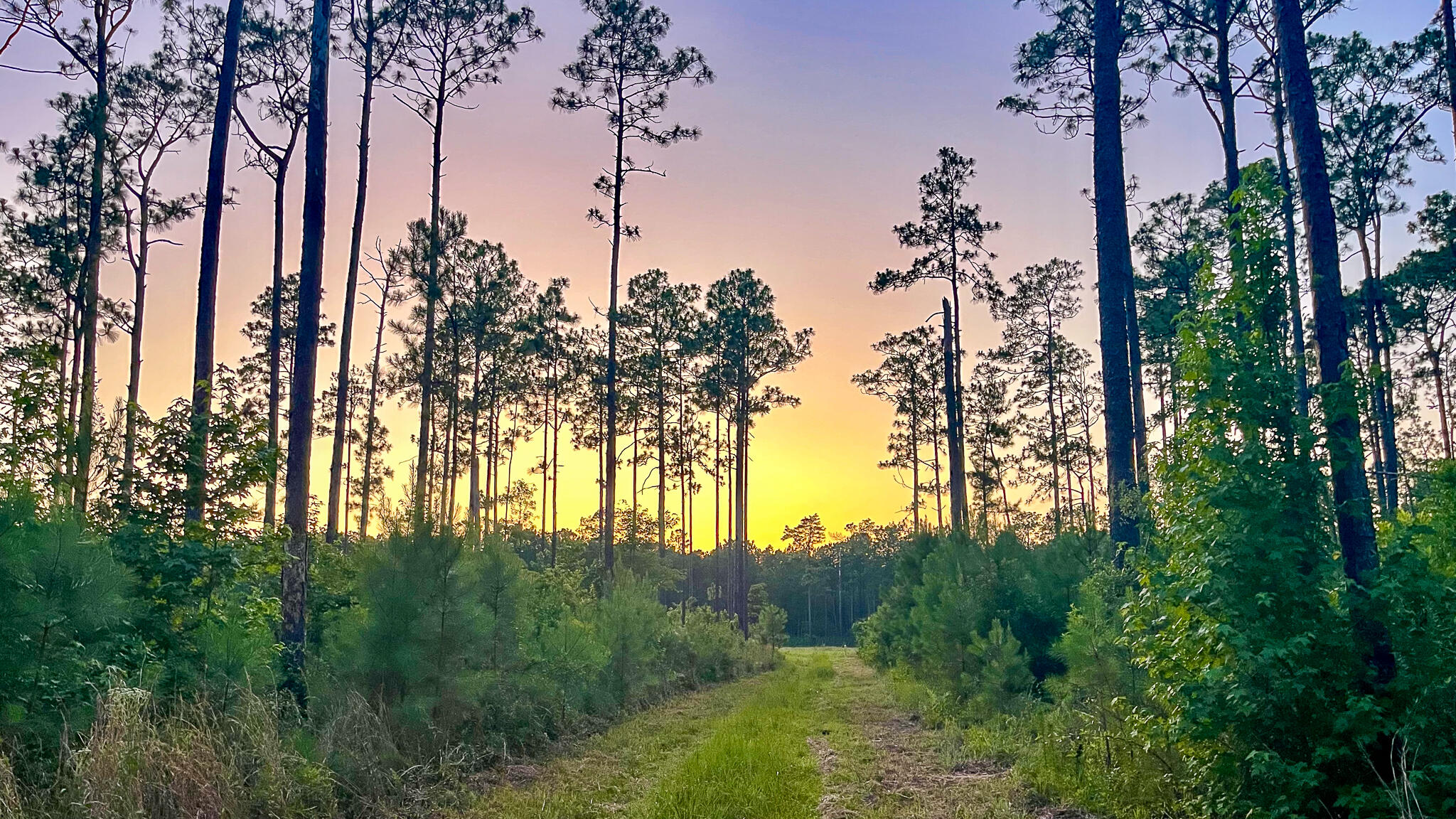 1515 7 Mile Road, McClellanville