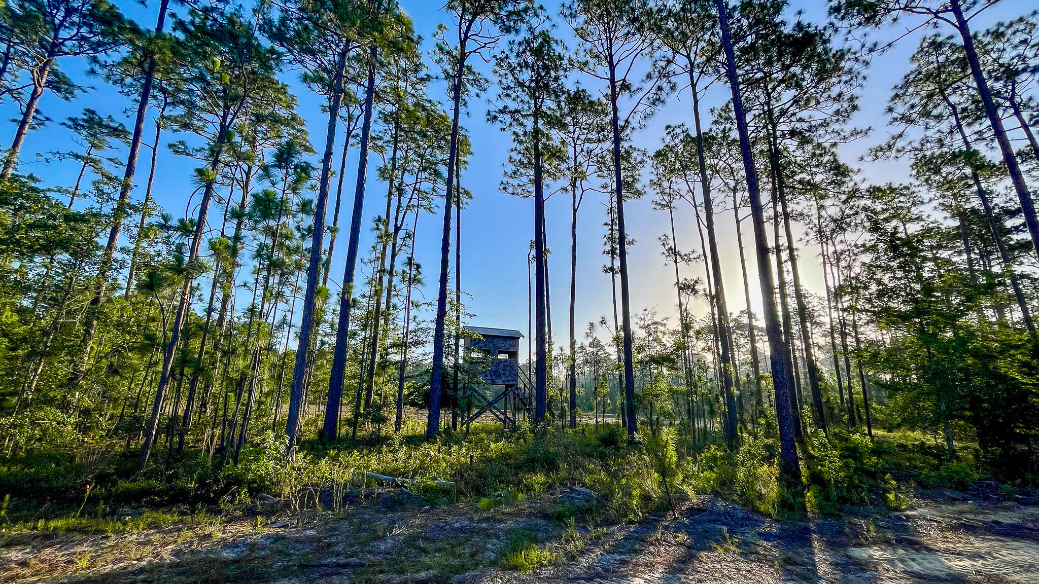 1515 7 Mile Road, McClellanville