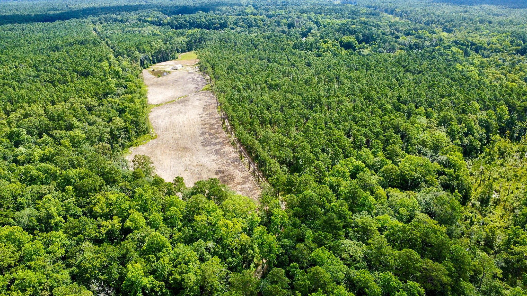 1515 7 Mile Road, McClellanville