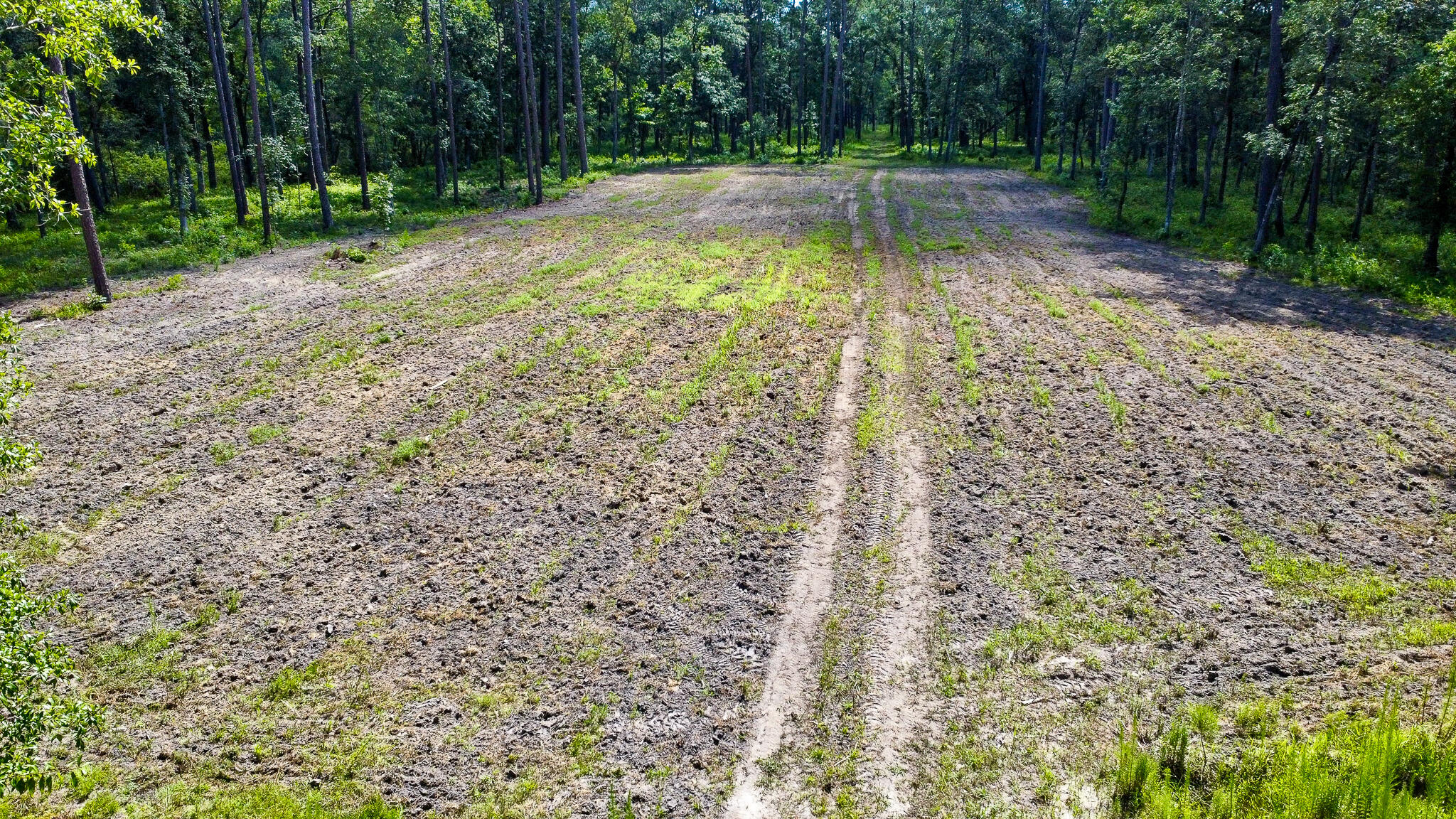 1515 7 Mile Road, McClellanville