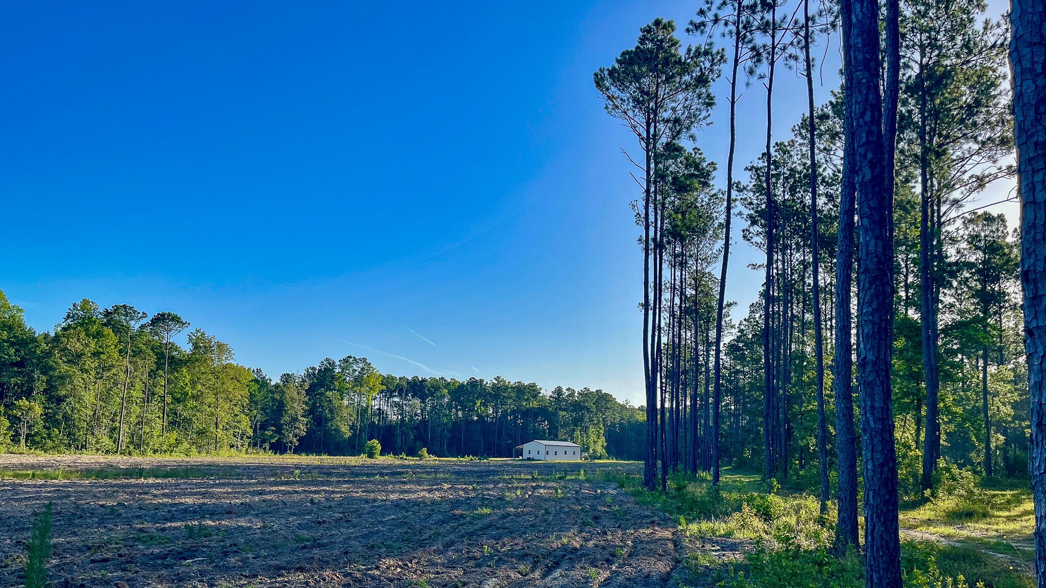 1515 7 Mile Road, McClellanville