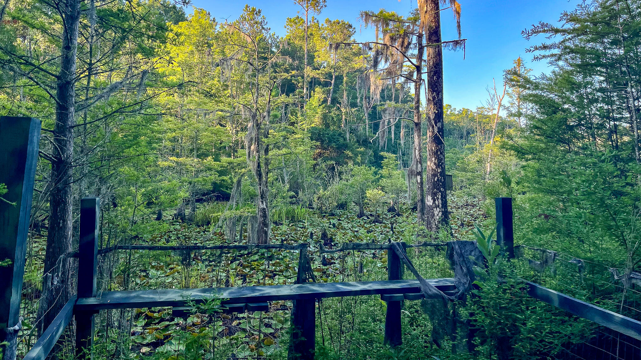 1515 7 Mile Road, McClellanville