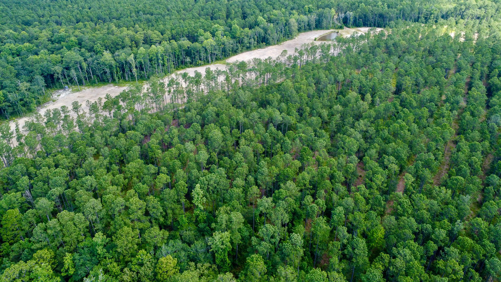 1515 7 Mile Road, McClellanville