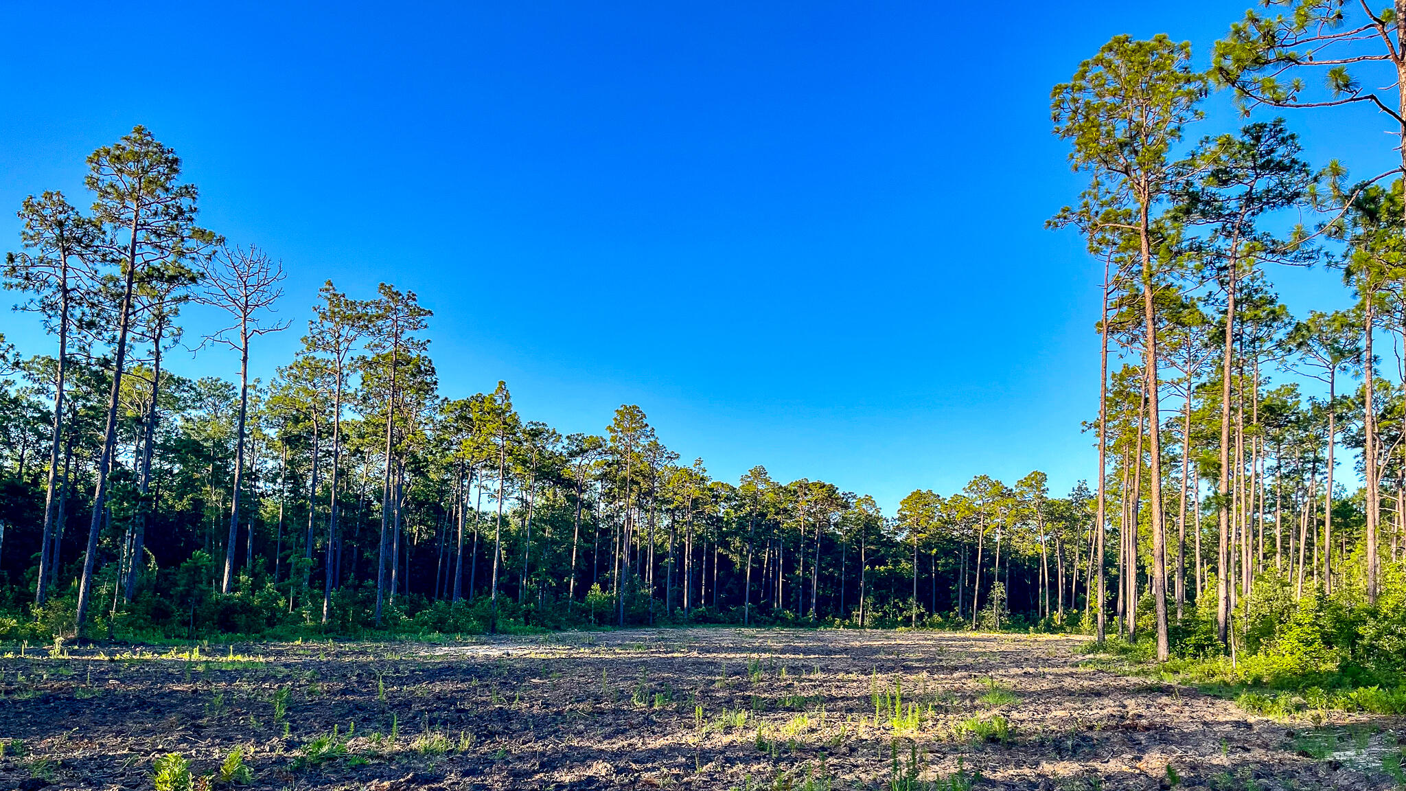 1515 7 Mile Road, McClellanville