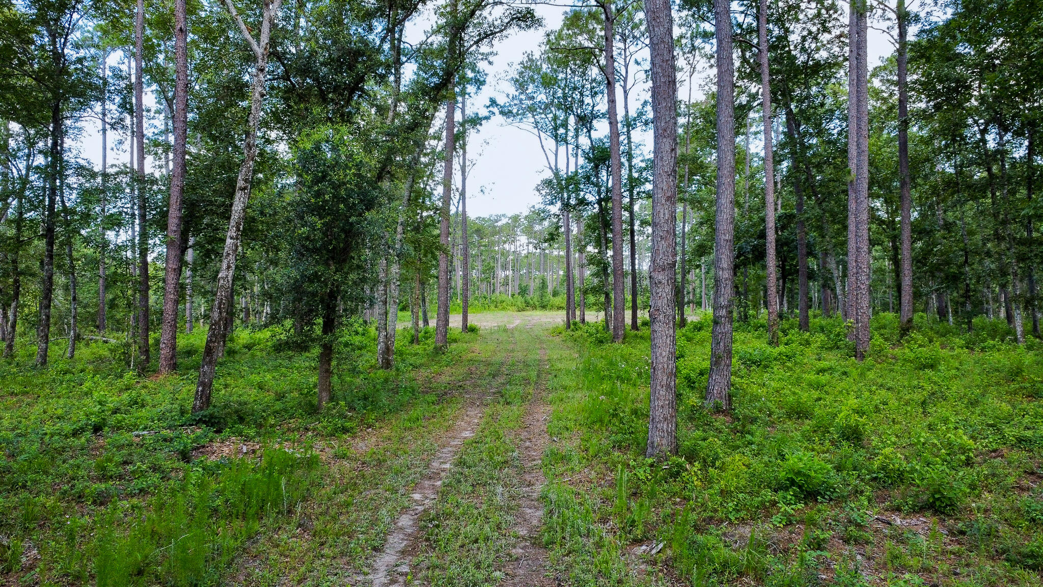 1515 7 Mile Road, McClellanville