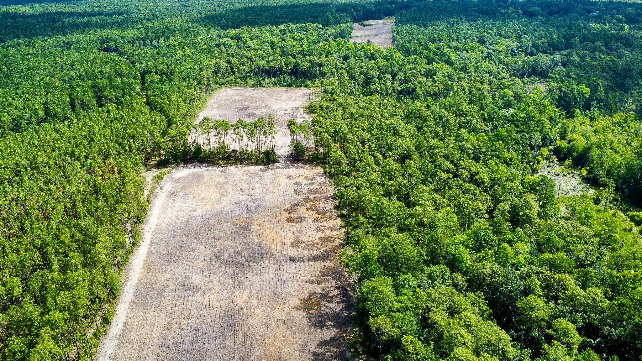 1515 7 Mile Road, McClellanville