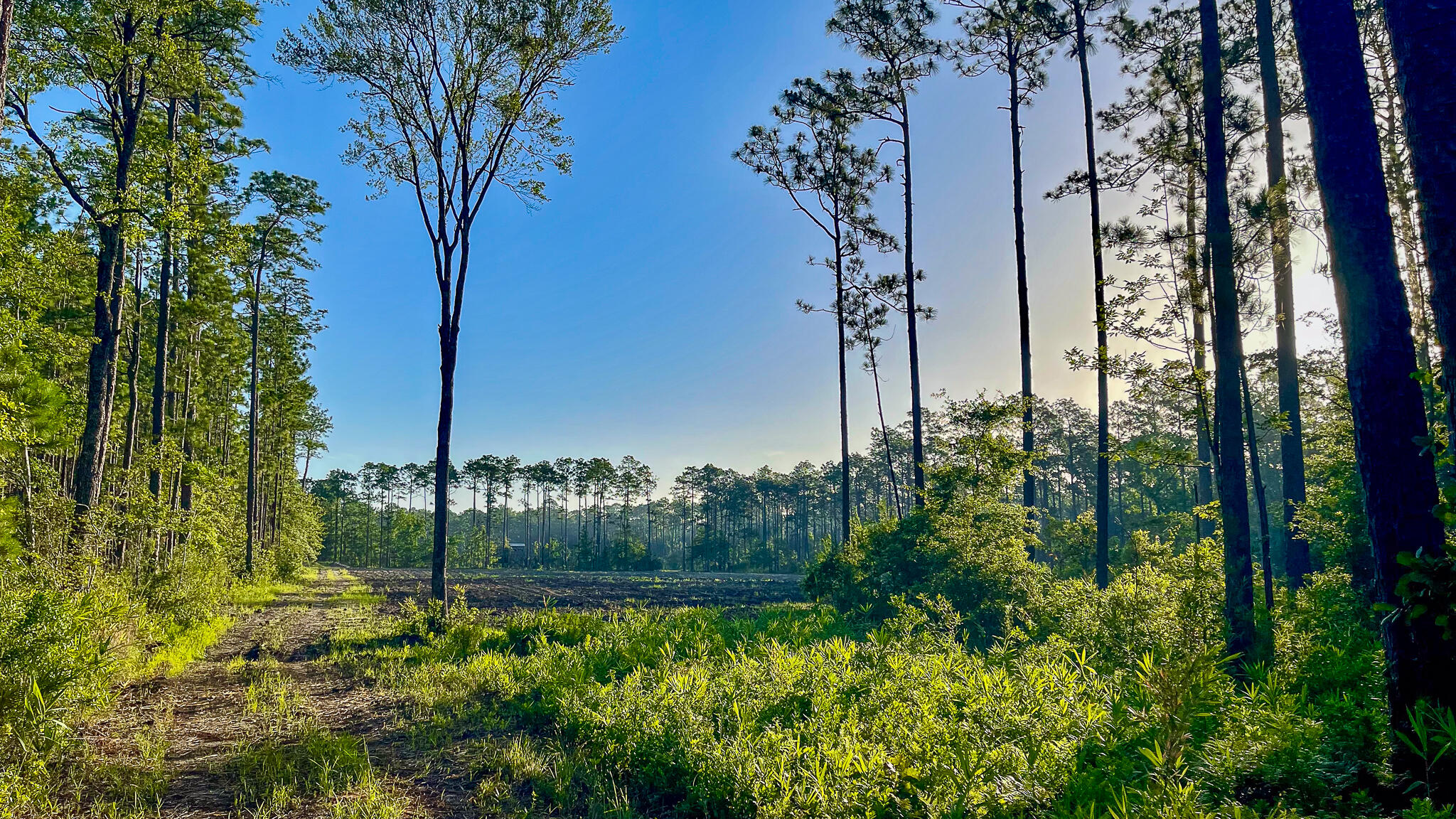 1515 7 Mile Road, McClellanville