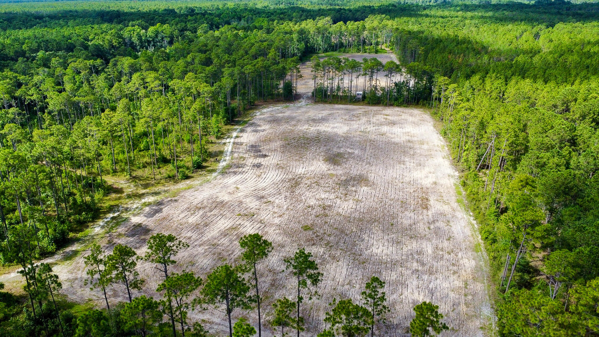 1515 7 Mile Road, McClellanville