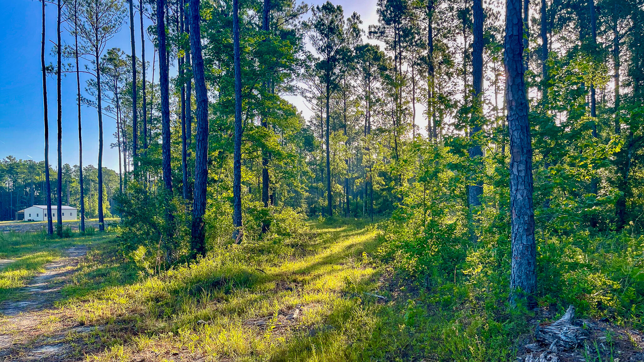 1515 7 Mile Road, McClellanville