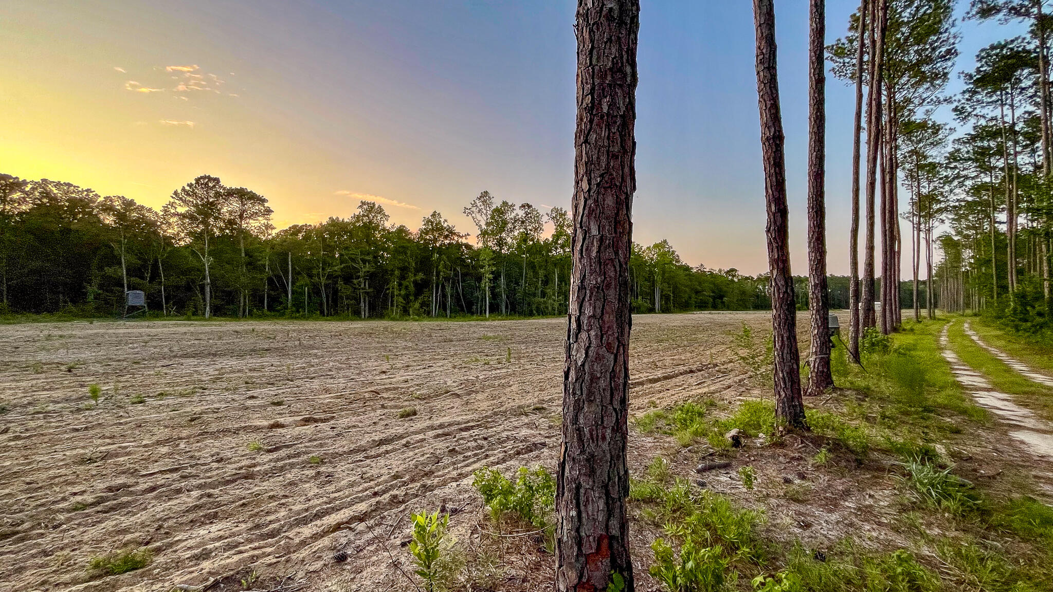 1515 7 Mile Road, McClellanville