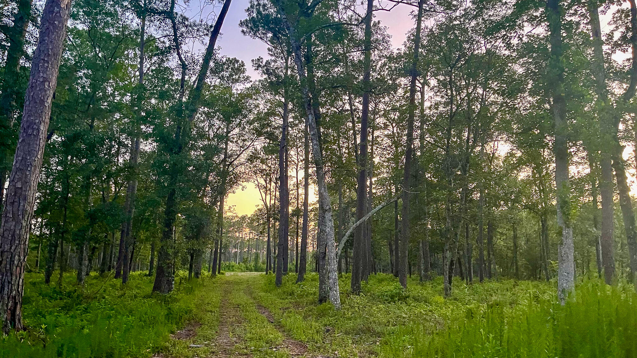 1515 7 Mile Road, McClellanville