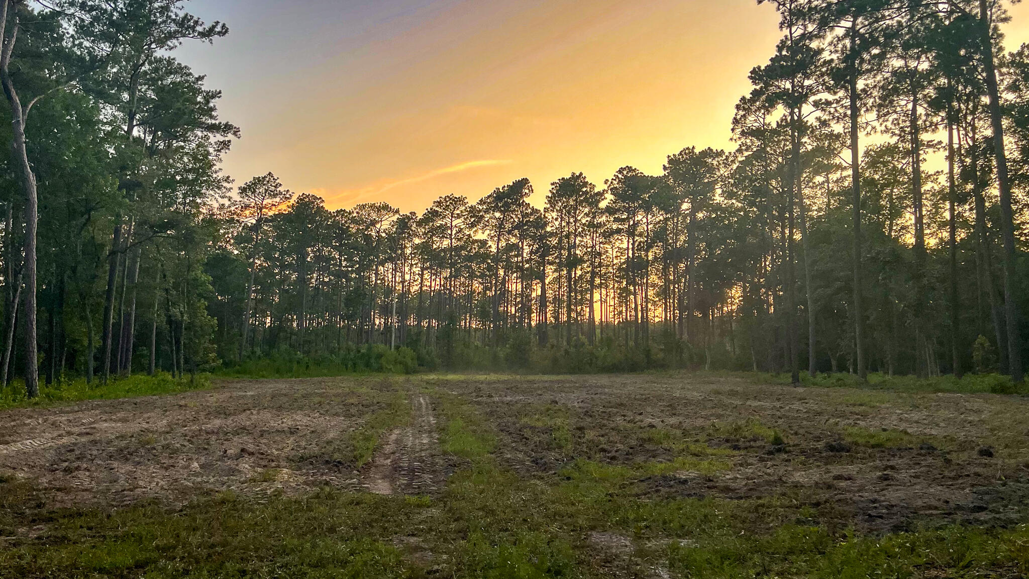 1515 7 Mile Road, McClellanville