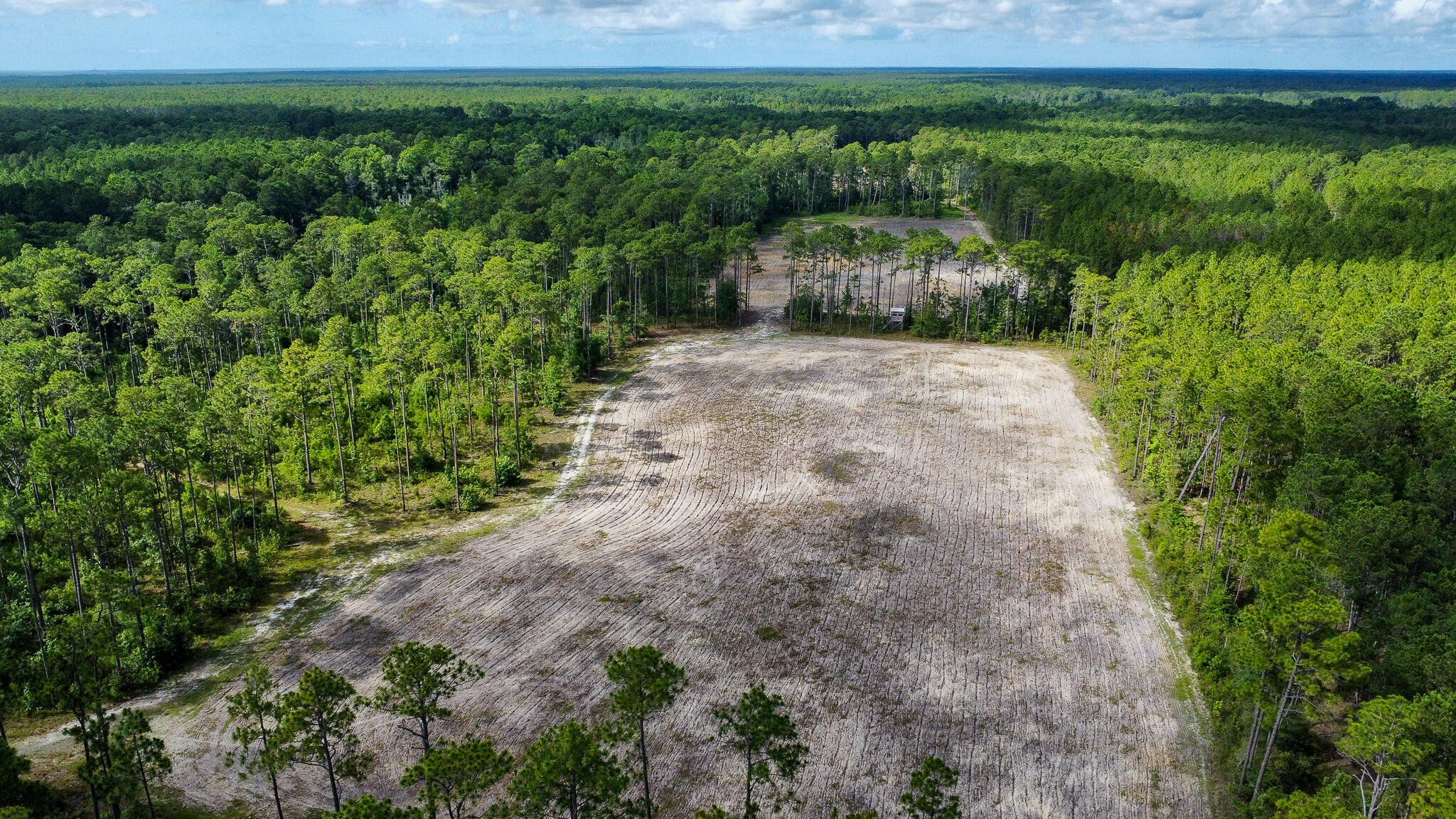 1515 7 Mile Road, McClellanville