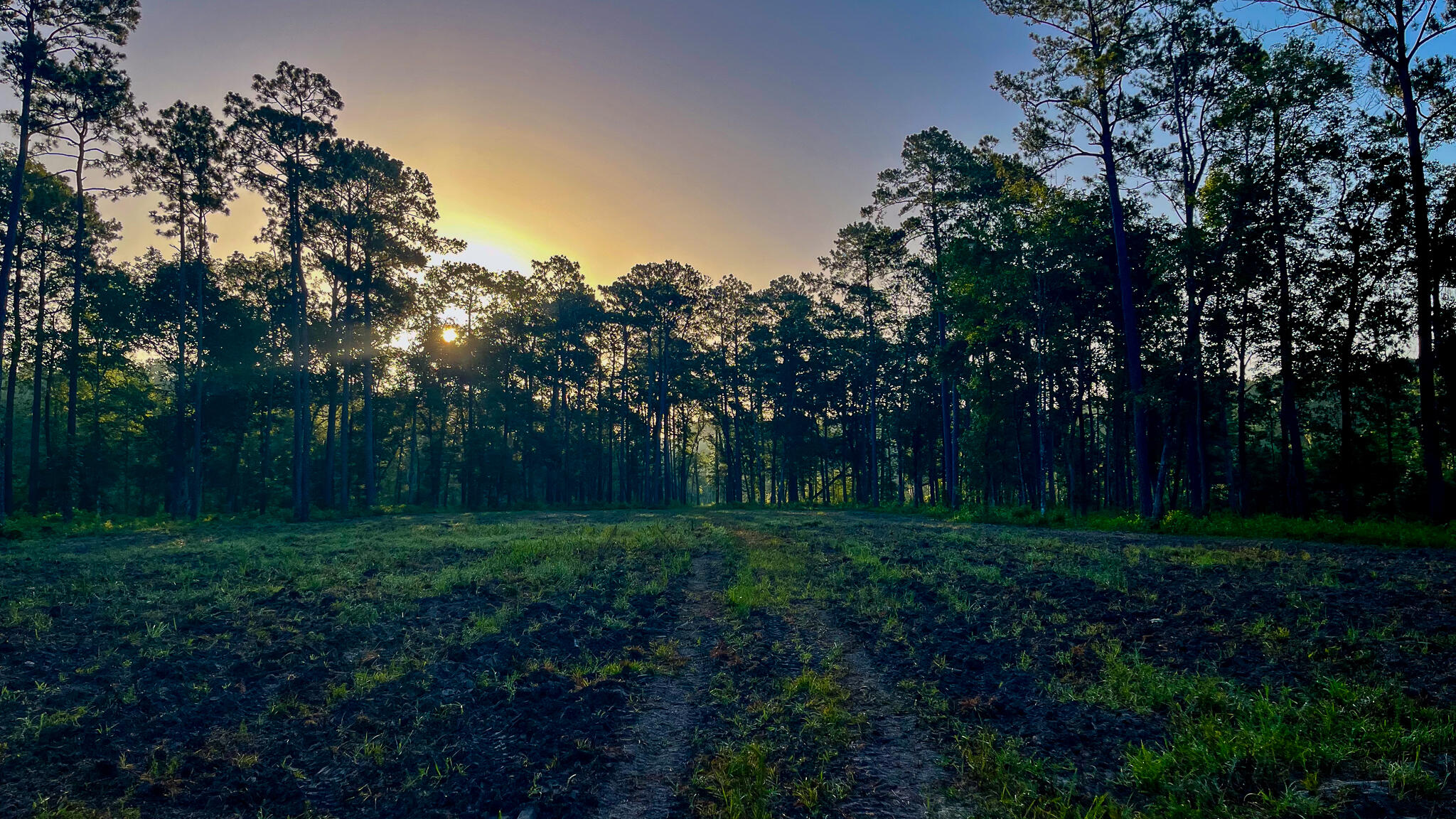 1515 7 Mile Road, McClellanville