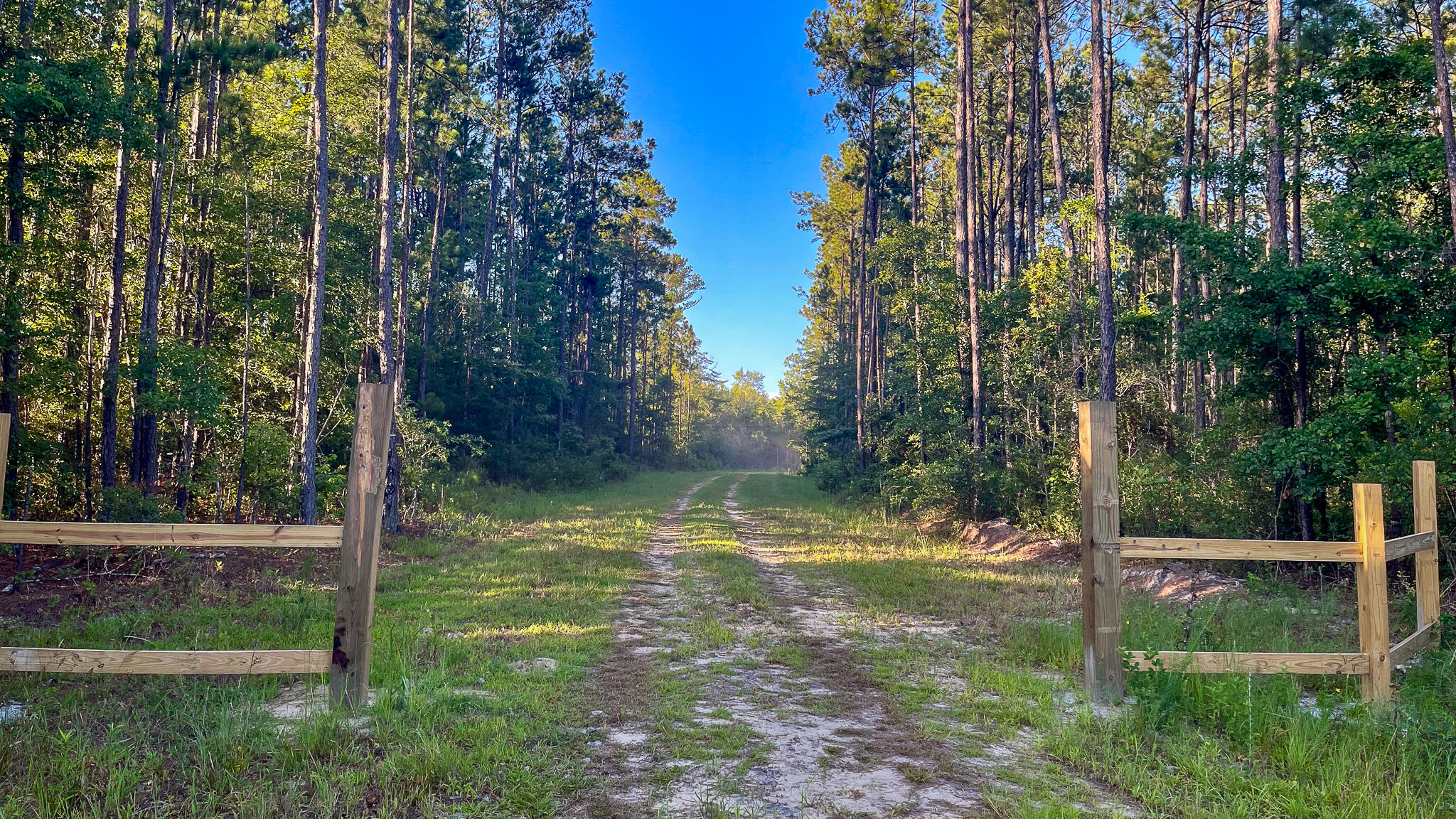 1515 7 Mile Road, McClellanville