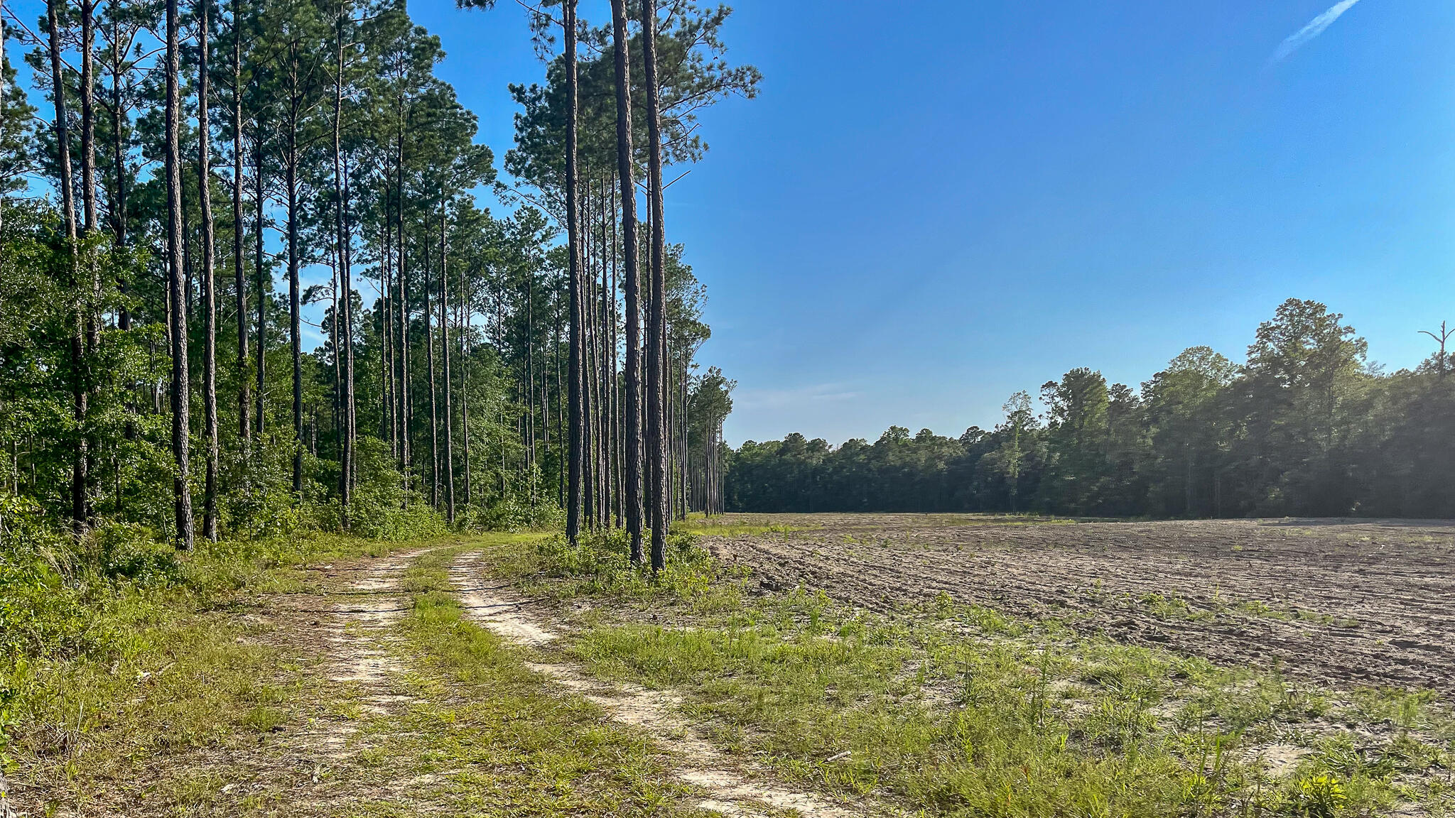 1515 7 Mile Road, McClellanville