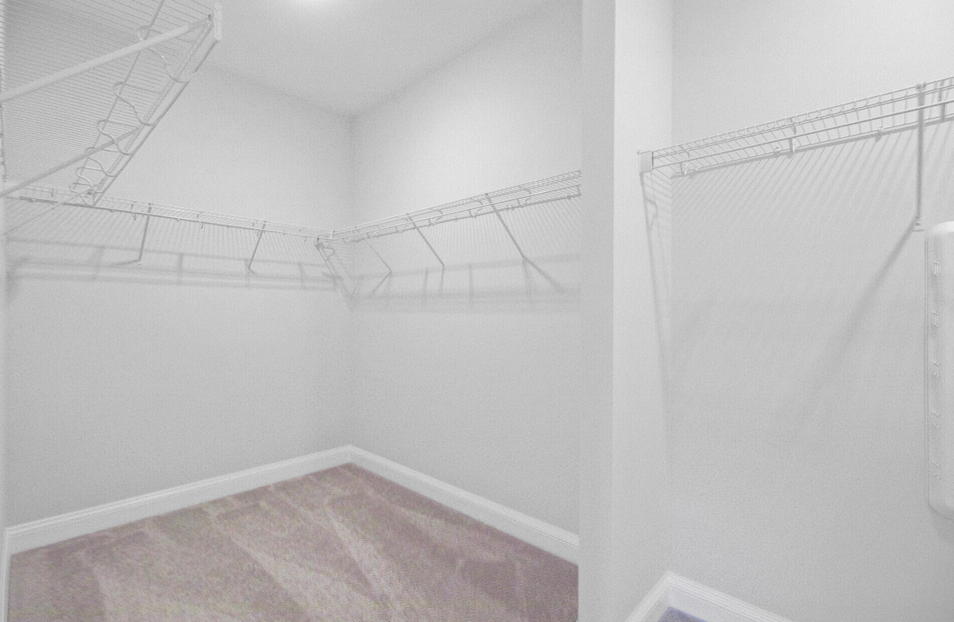 4996 Song Sparrow Way