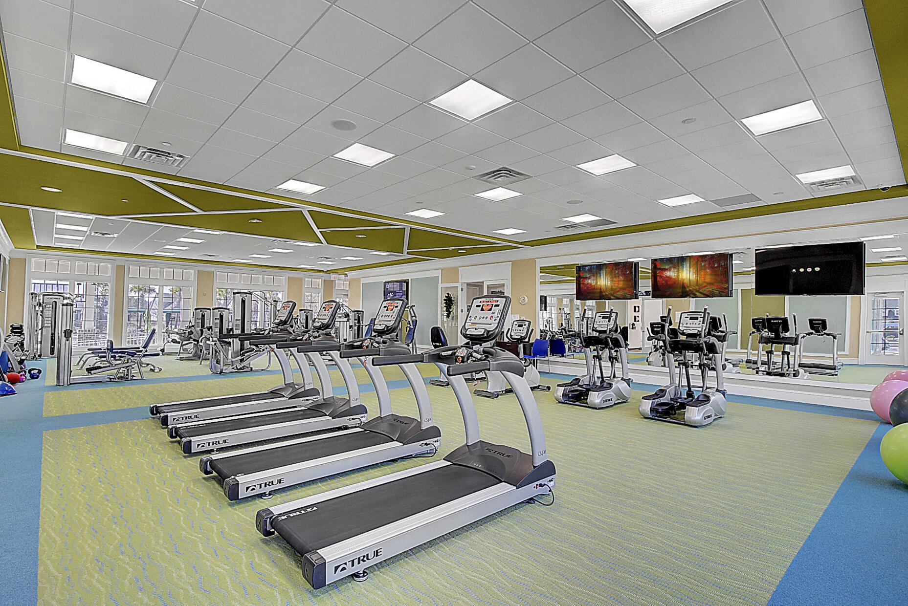 4996 Song Sparrow Way