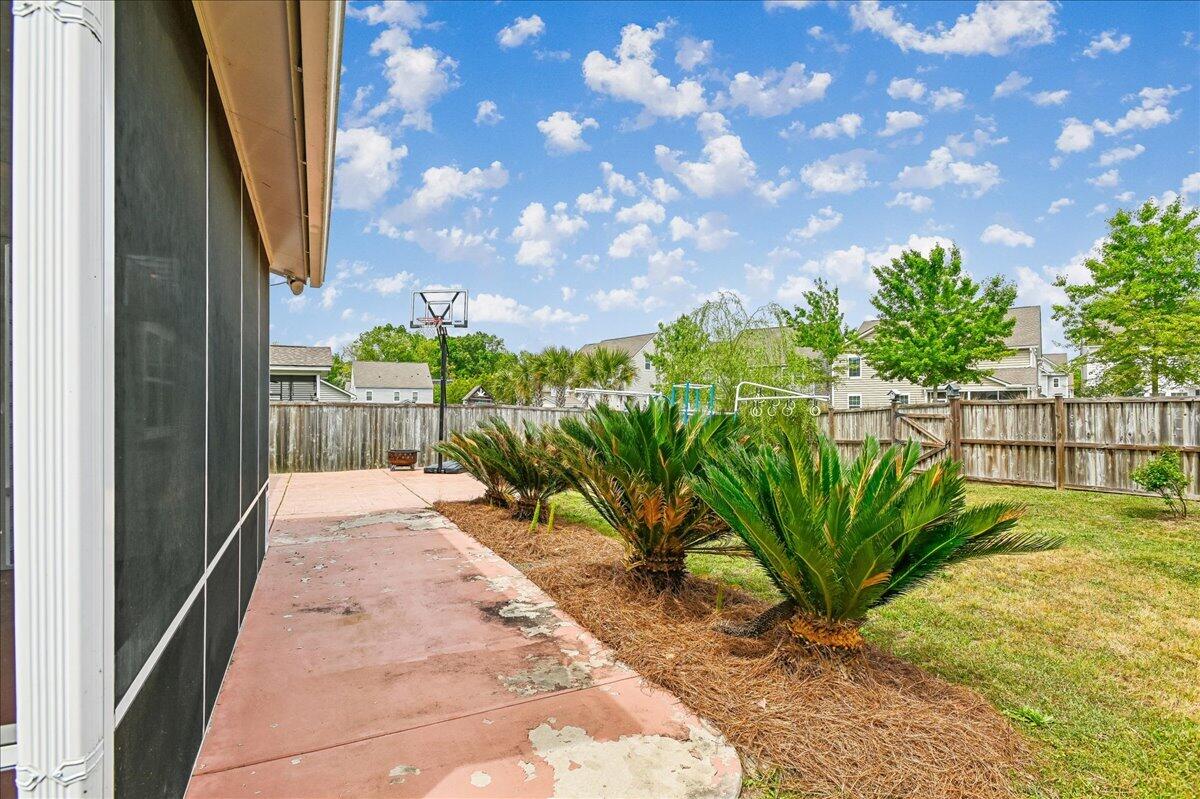 9906 Winged Elm Street