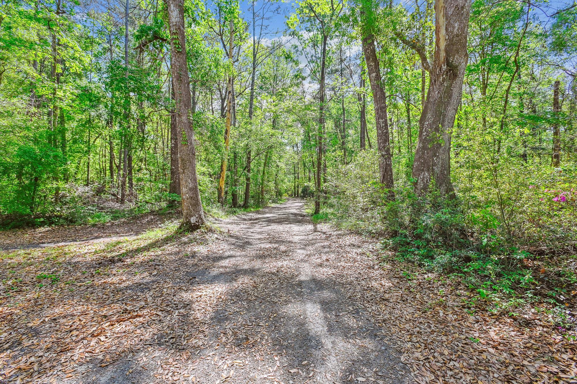 7089&7095 Parkers Ferry Road