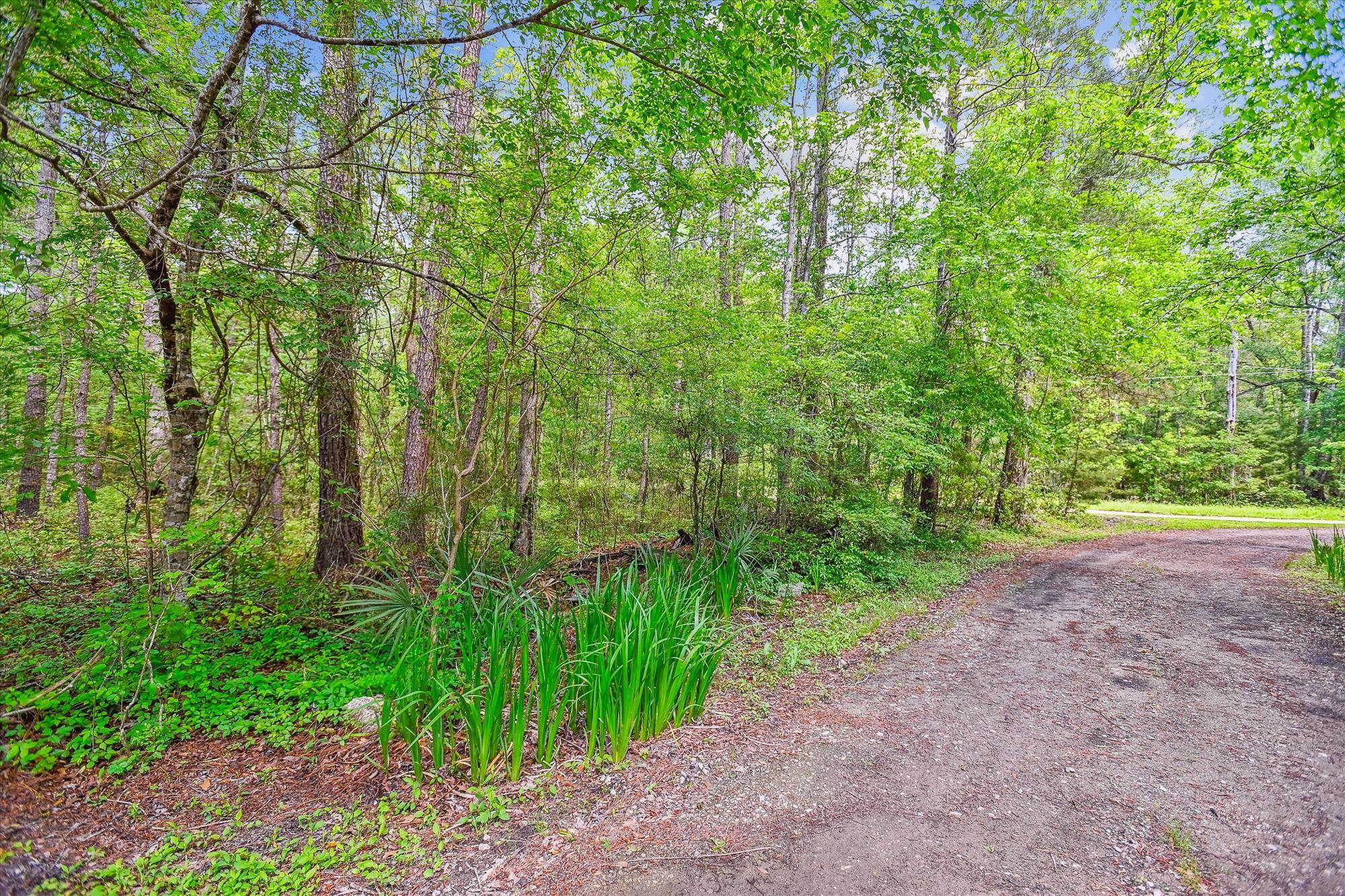 7089&7095 Parkers Ferry Road