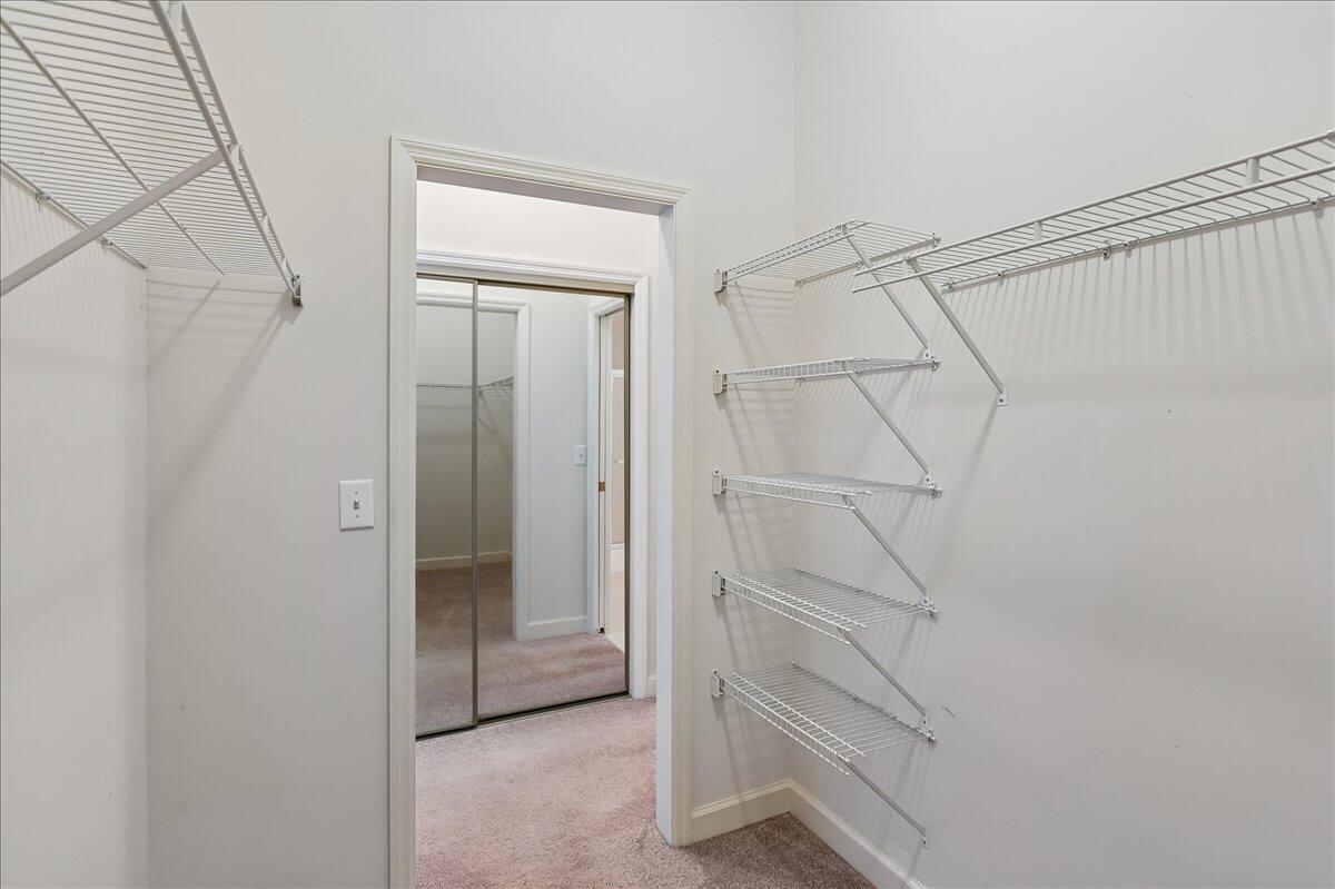 3017 Trotters Club Way