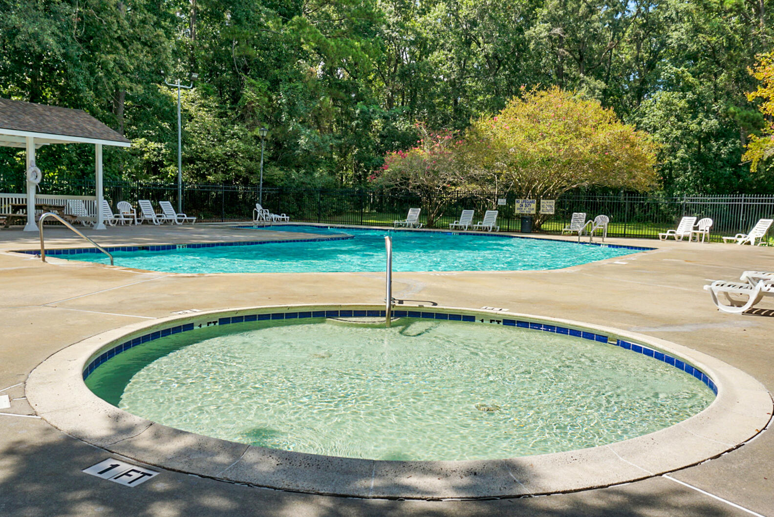 146 Bridgecreek Drive