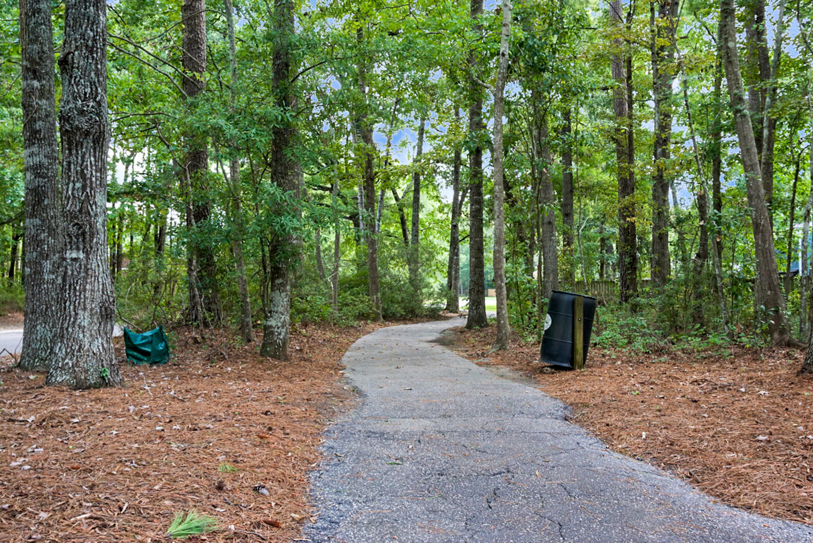 146 Bridgecreek Drive