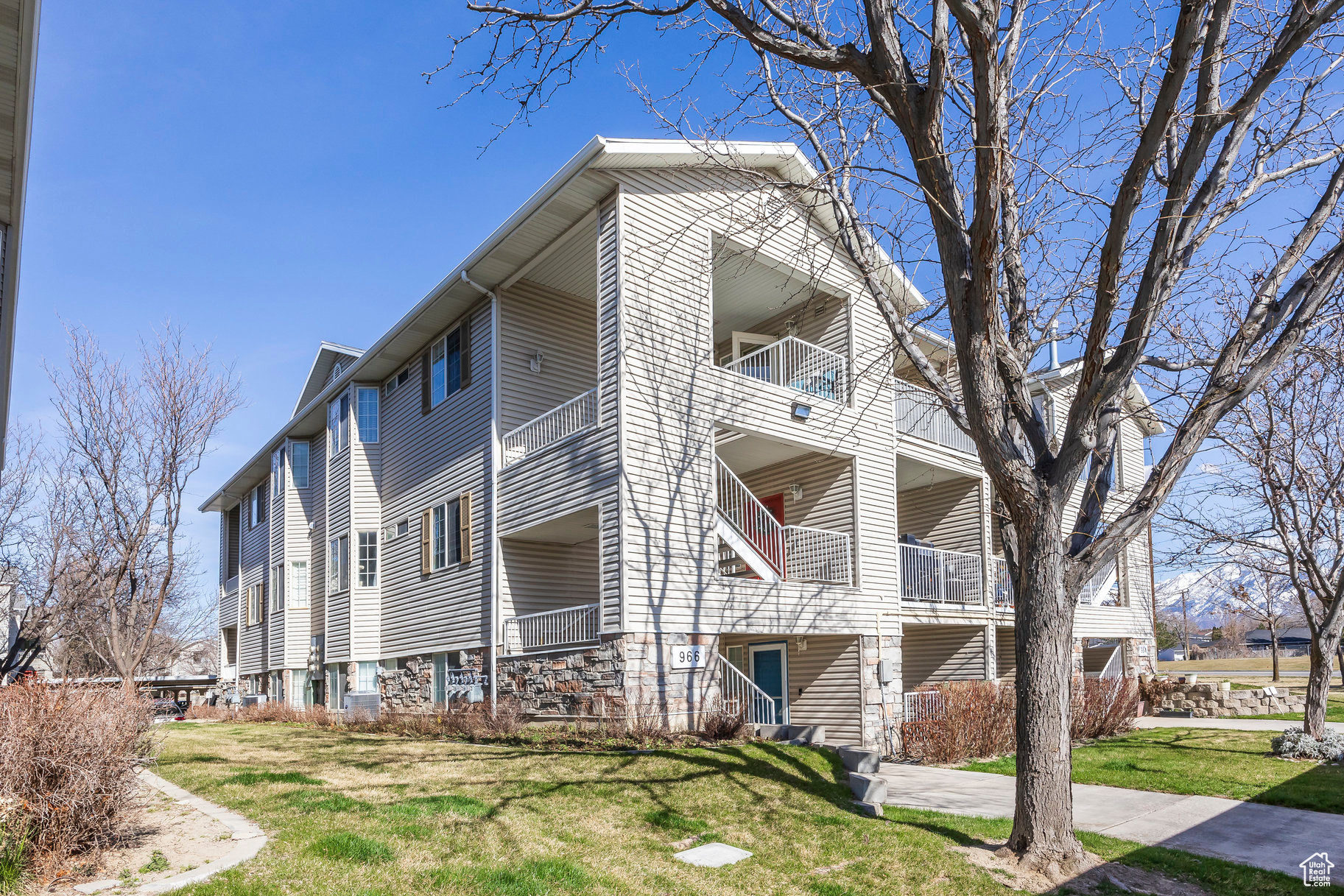 966 W BIG RIVER CT #3