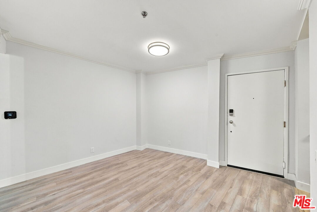 Empty apartment entry with a white front door and light wood-look flooring.
