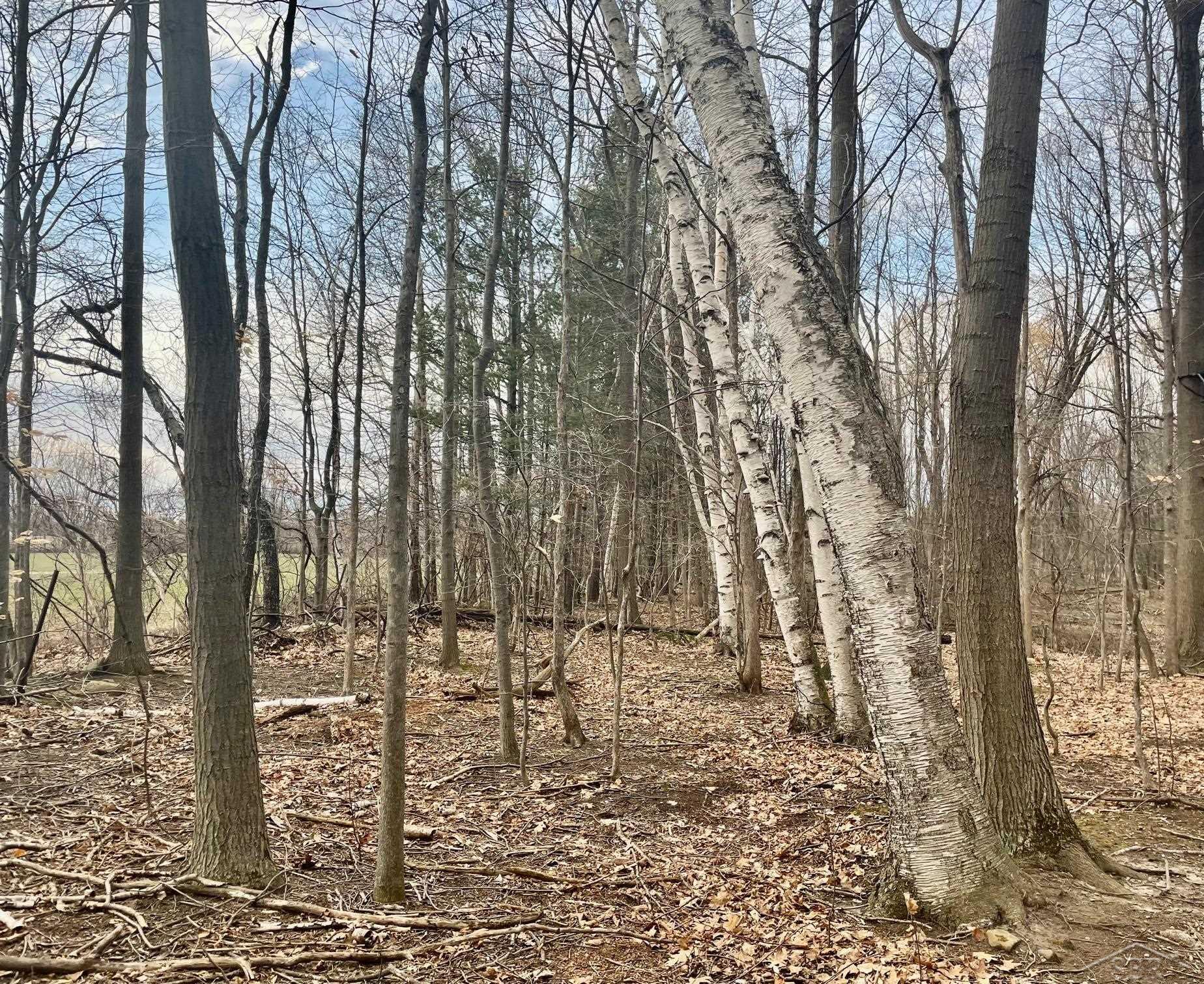 295 W Burns Line Rd