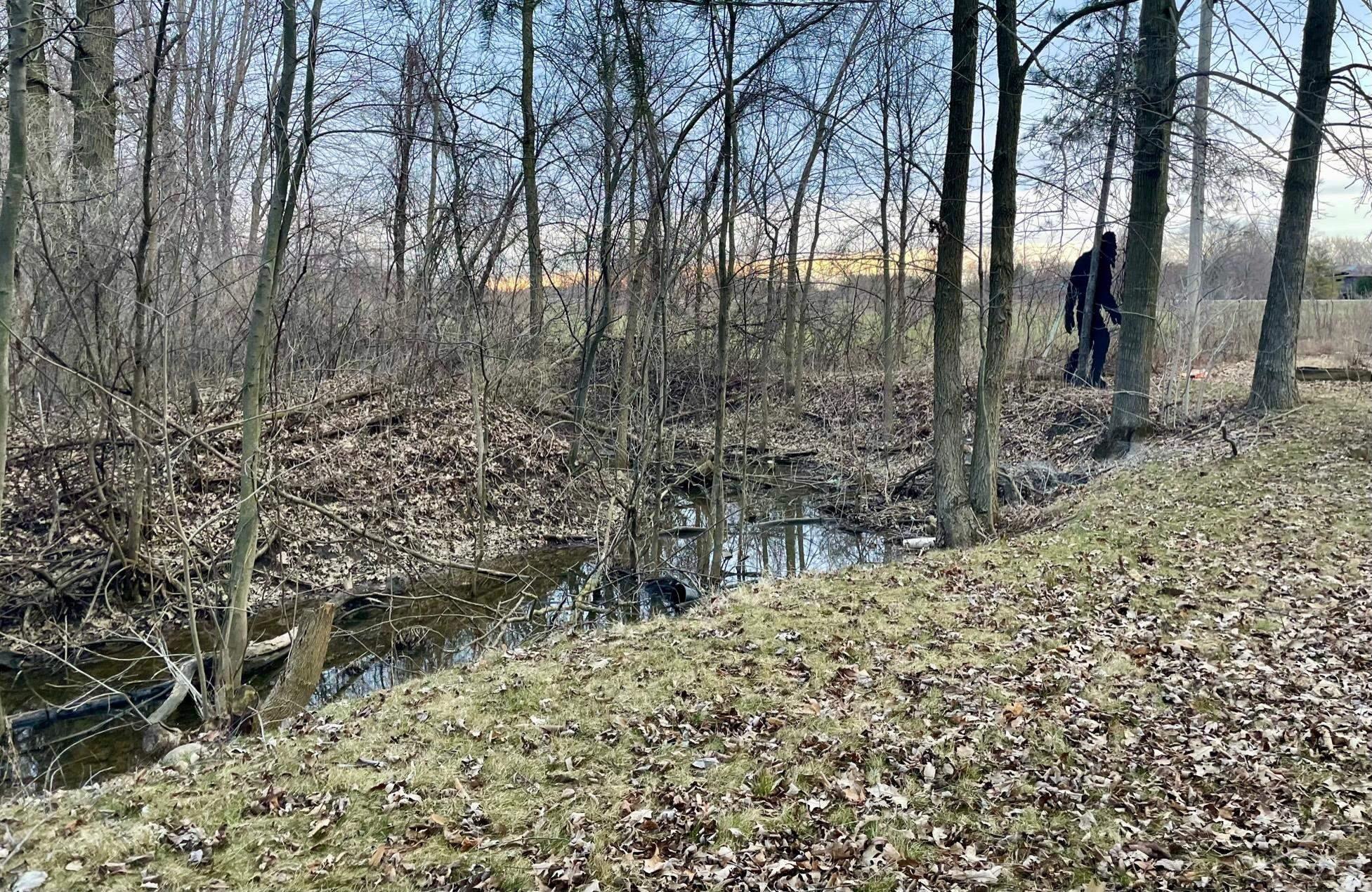 295 W Burns Line Rd