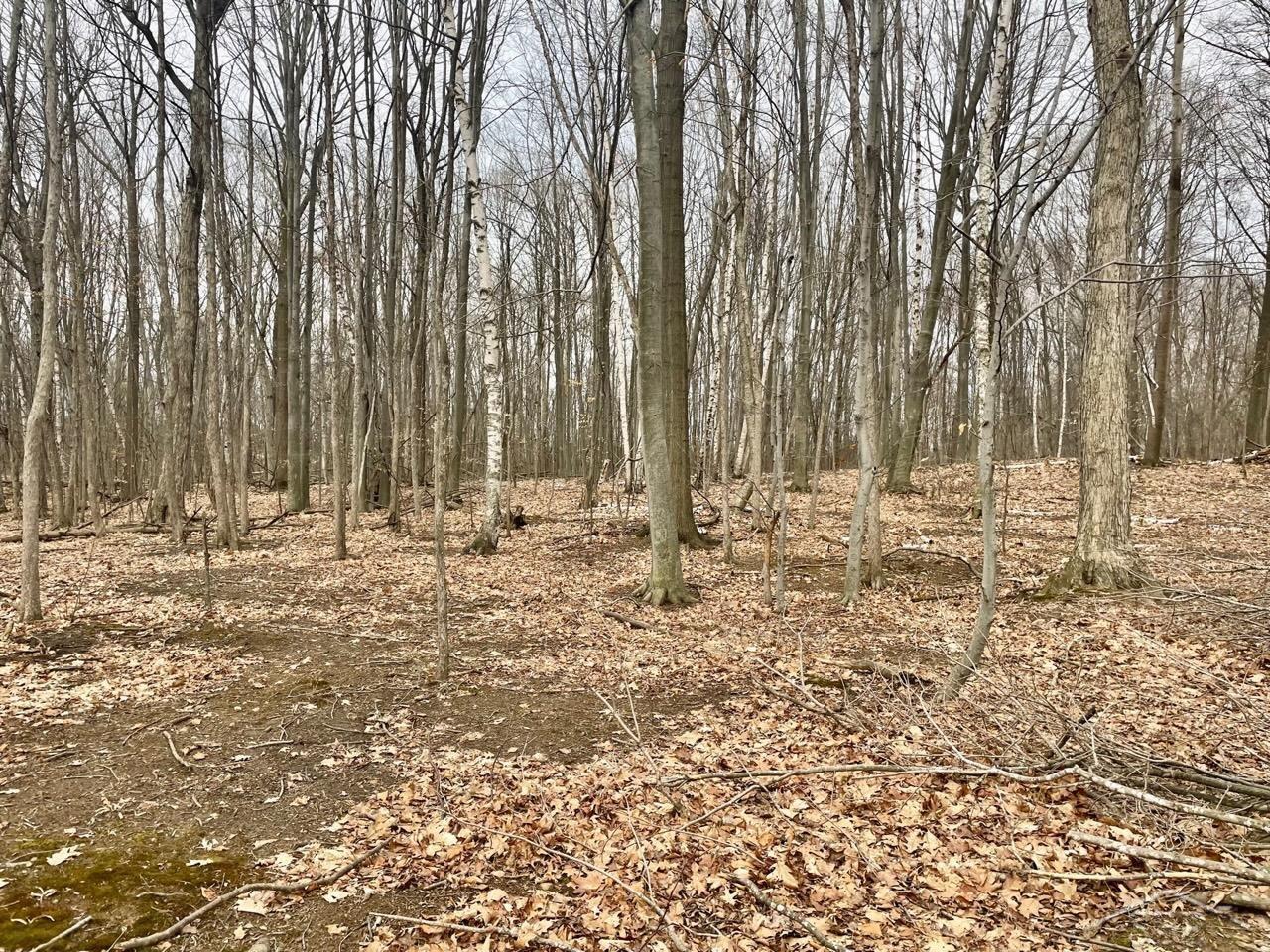 295 W Burns Line Rd