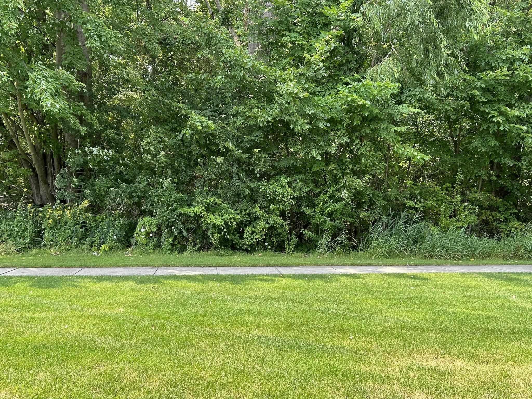 51837 E Adler Park Drive Unit 17 Unit: Unit 84 Building 17